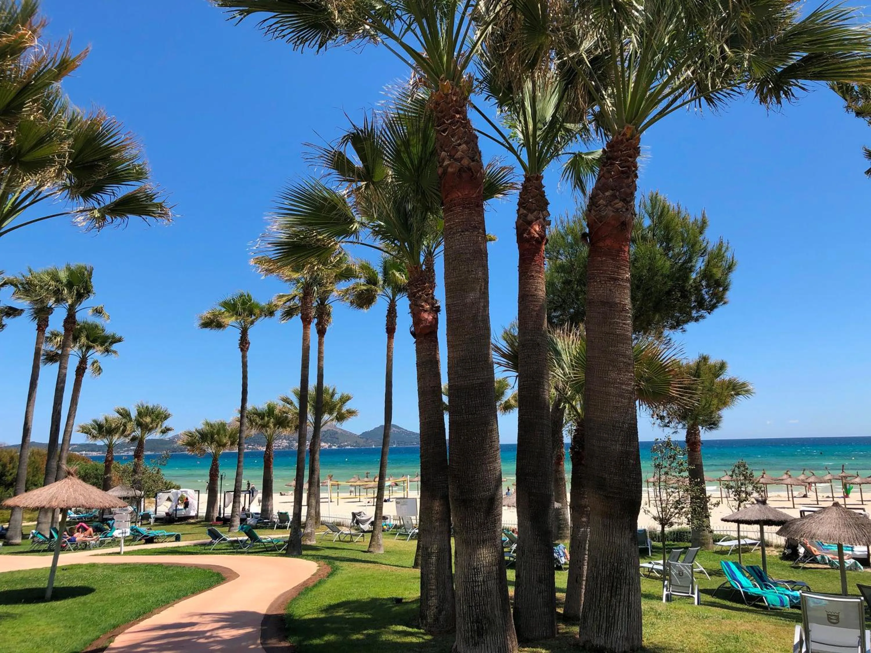 Garden in Playa Esperanza Resort Affiliated by Meliá