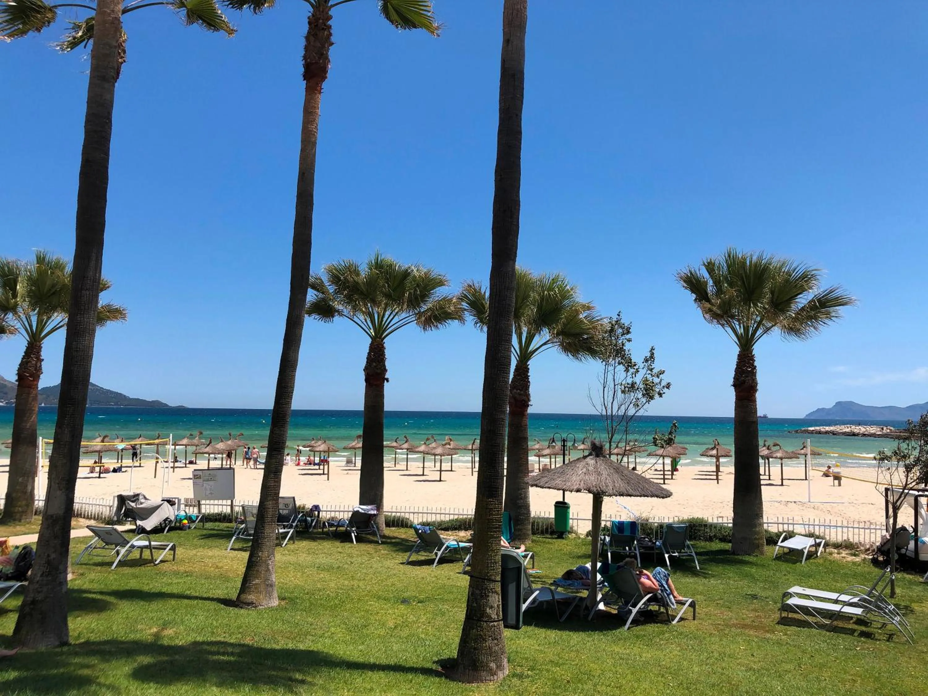 Beach in Playa Esperanza Resort Affiliated by Meliá