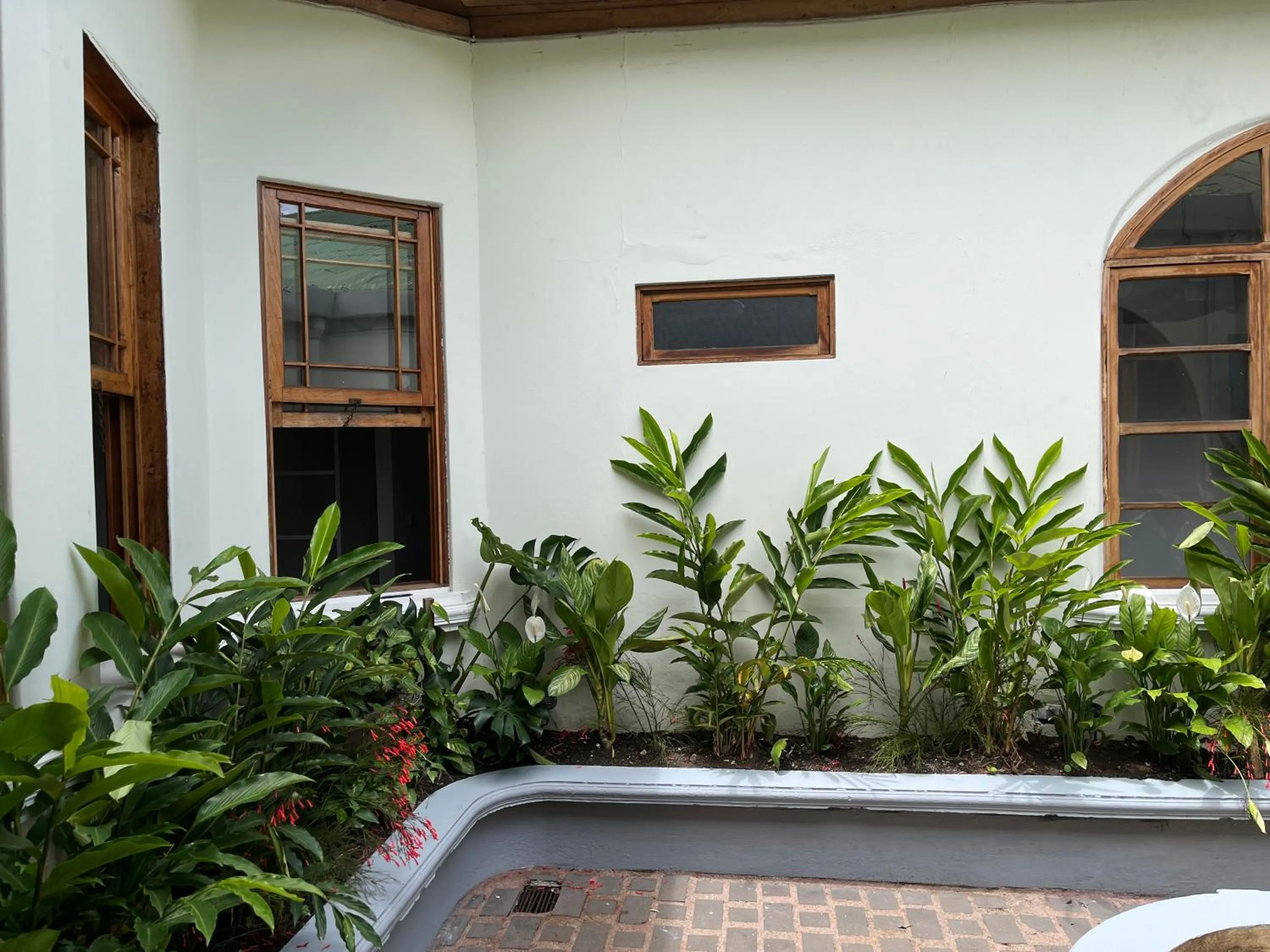 Garden in The Victorian Hotel