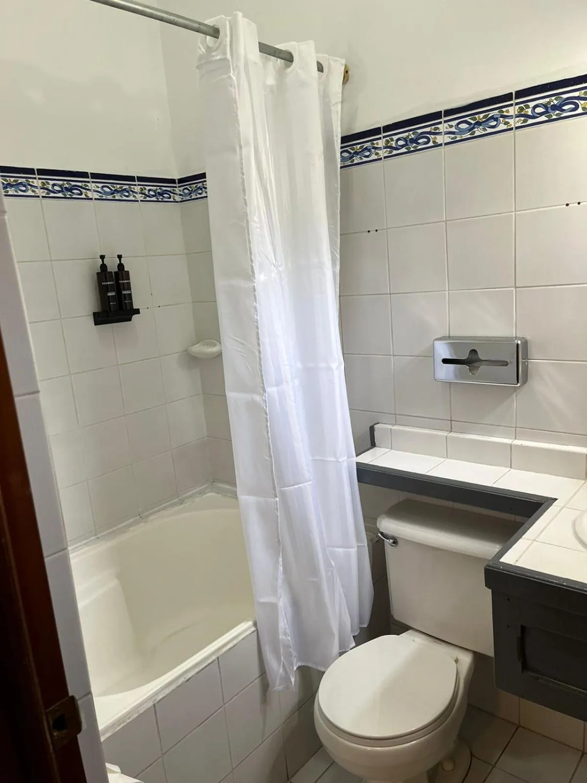 Shower in The Victorian Hotel