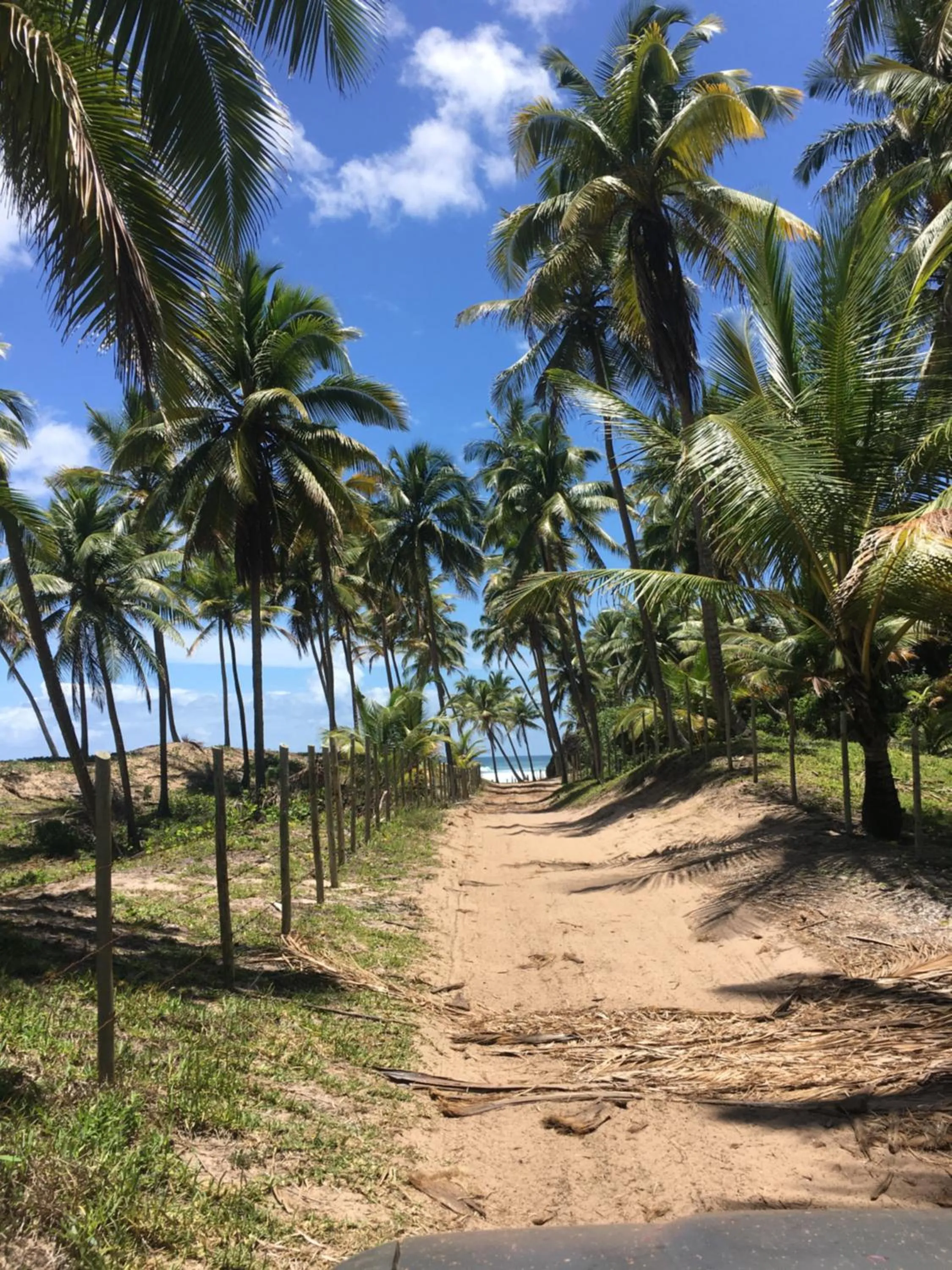 Sea view in Pousada Velas e Vento - Barra Grande, Taipu de Fora, Maraú