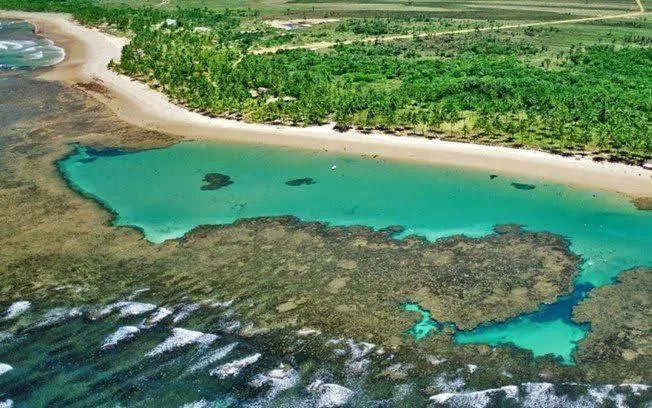Natural landscape in Pousada Velas e Vento - Barra Grande, Taipu de Fora, Maraú