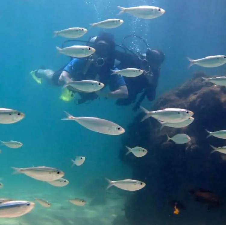Activities in Pousada Velas e Vento - Barra Grande, Taipu de Fora, Maraú