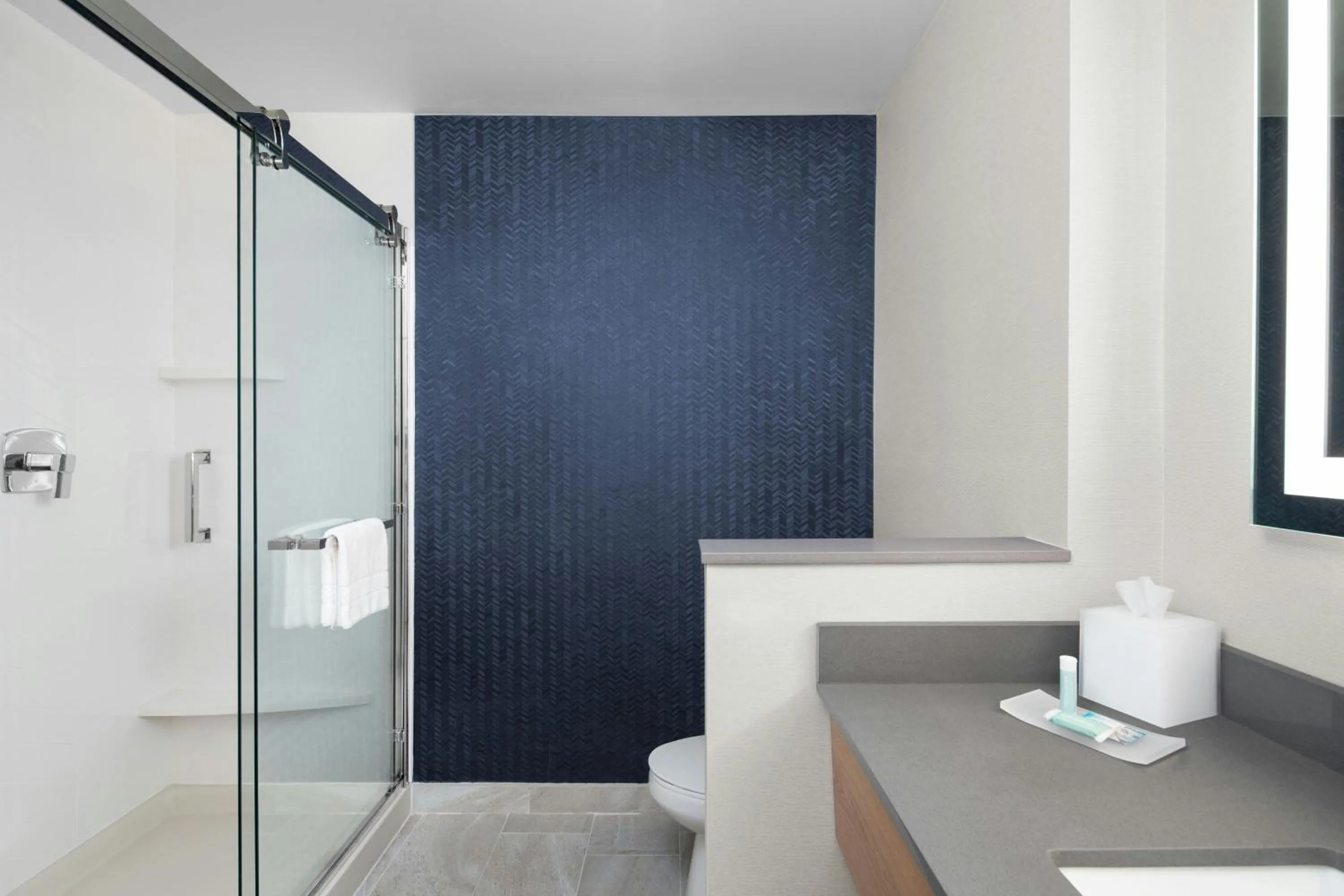 Bathroom in Fairfield by Marriott Inn & Suites Nashville Bellevue