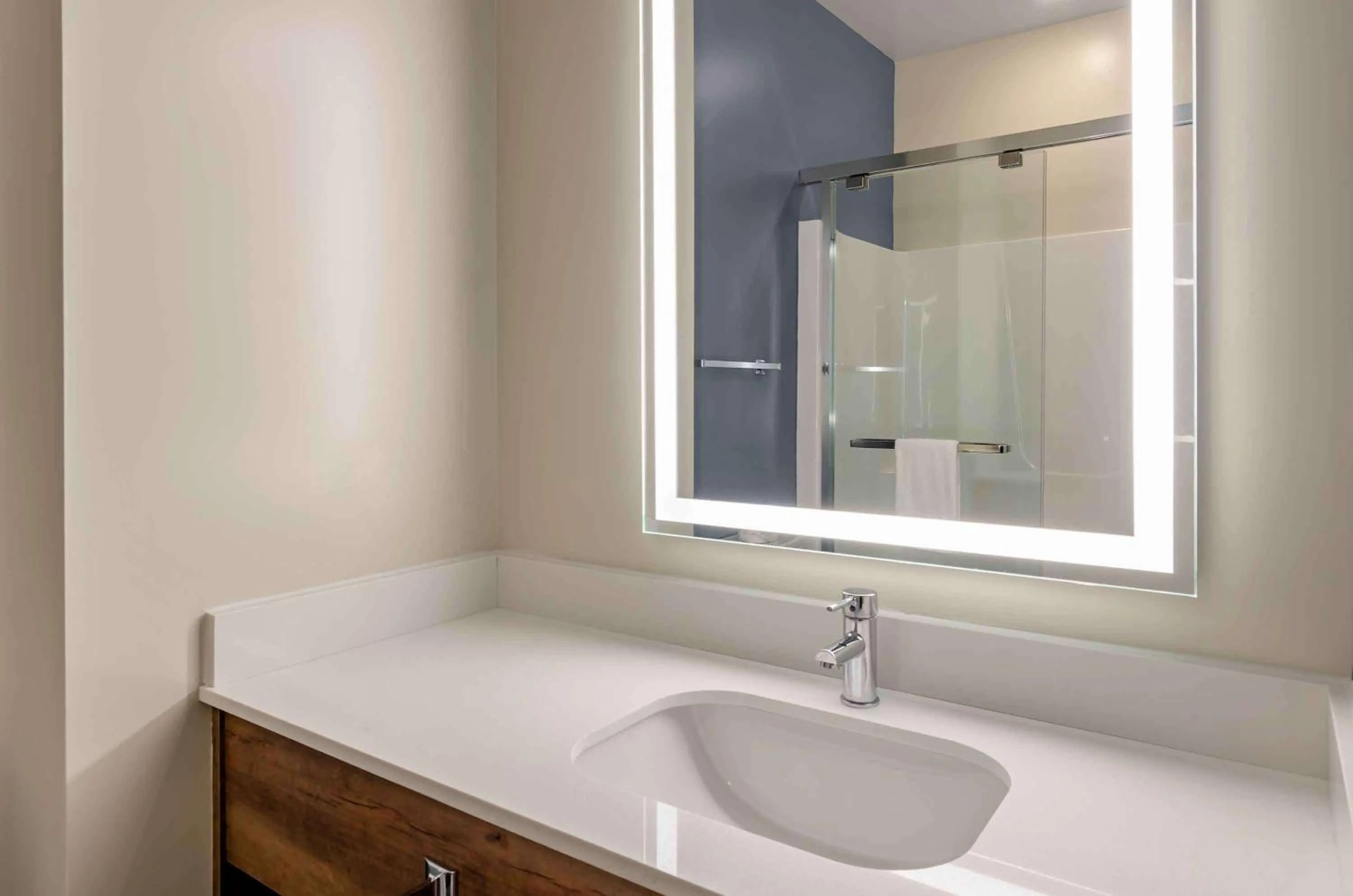 Bathroom in Extended Stay America Premier Suites - Harrisonburg