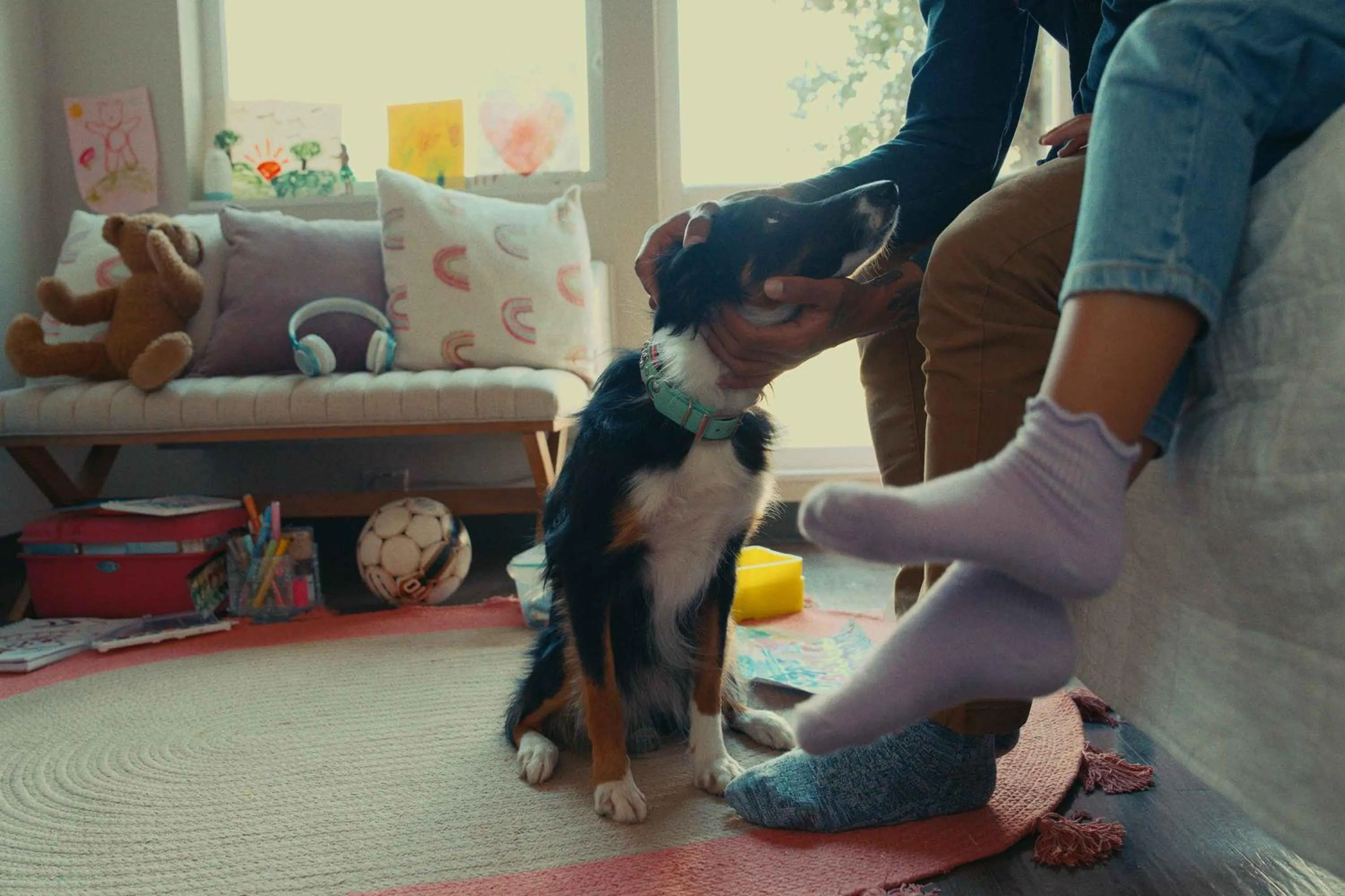 Pets in Extended Stay America Premier Suites - Pensacola - NAS Corry Station