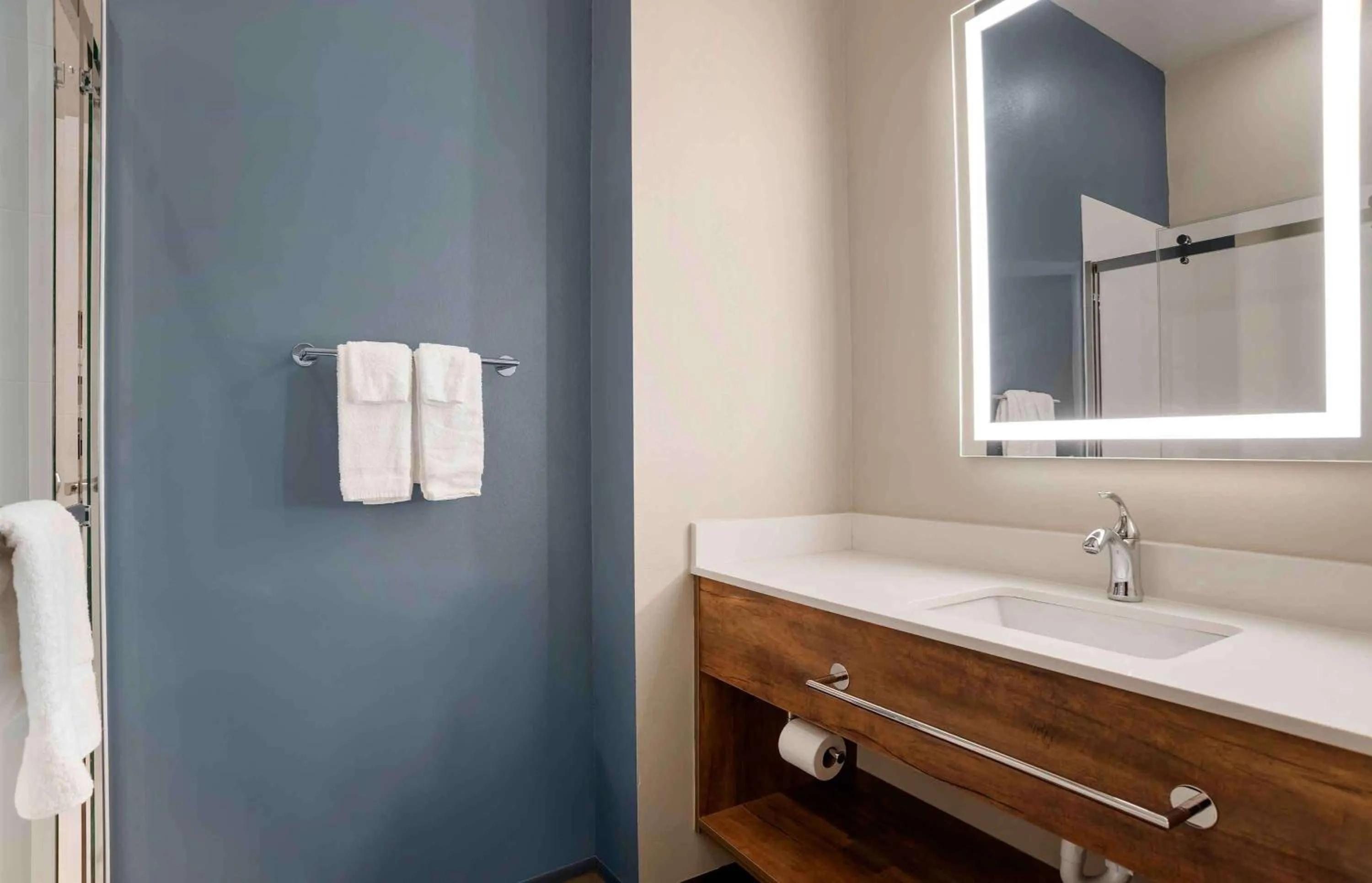 Bathroom in Extended Stay America Premier Suites - Pensacola - NAS Corry Station