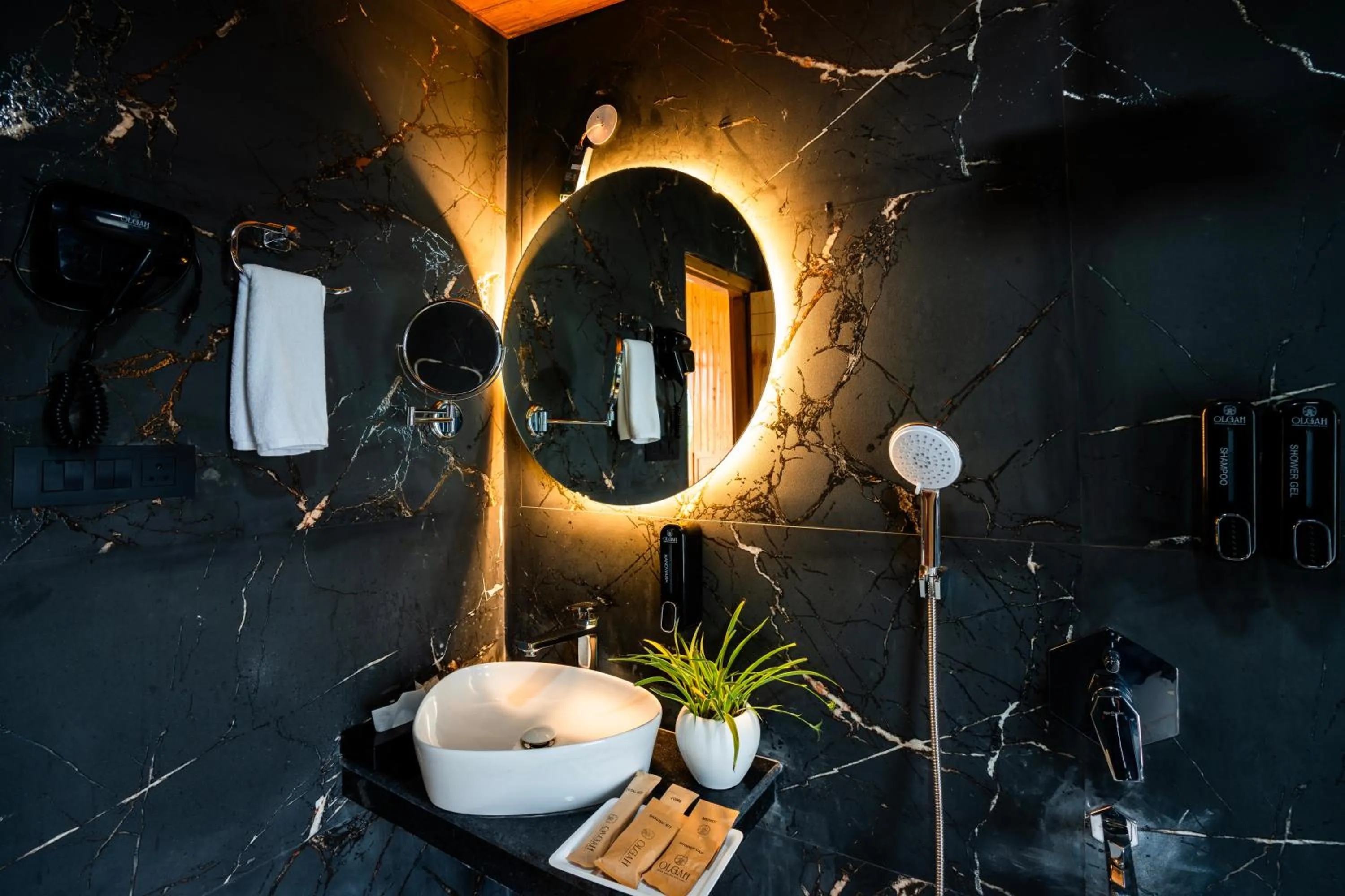 Bathroom in Olgah Manali