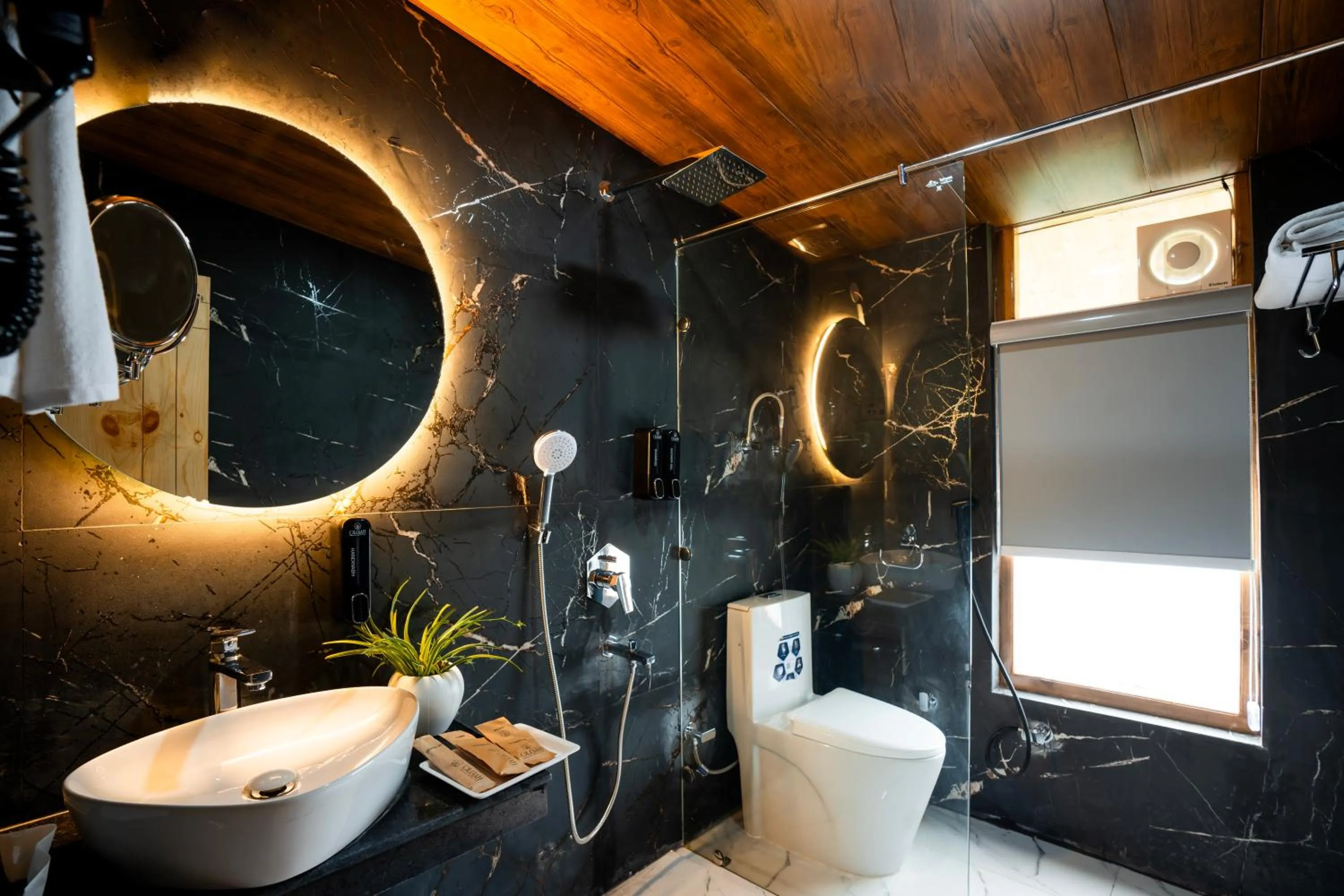 Bathroom in Olgah Manali