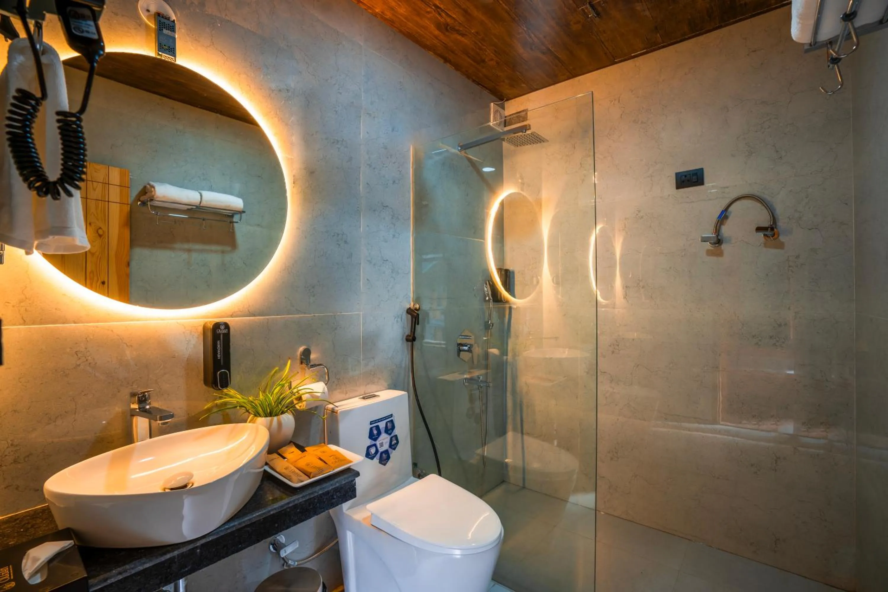 Bathroom in Olgah Manali