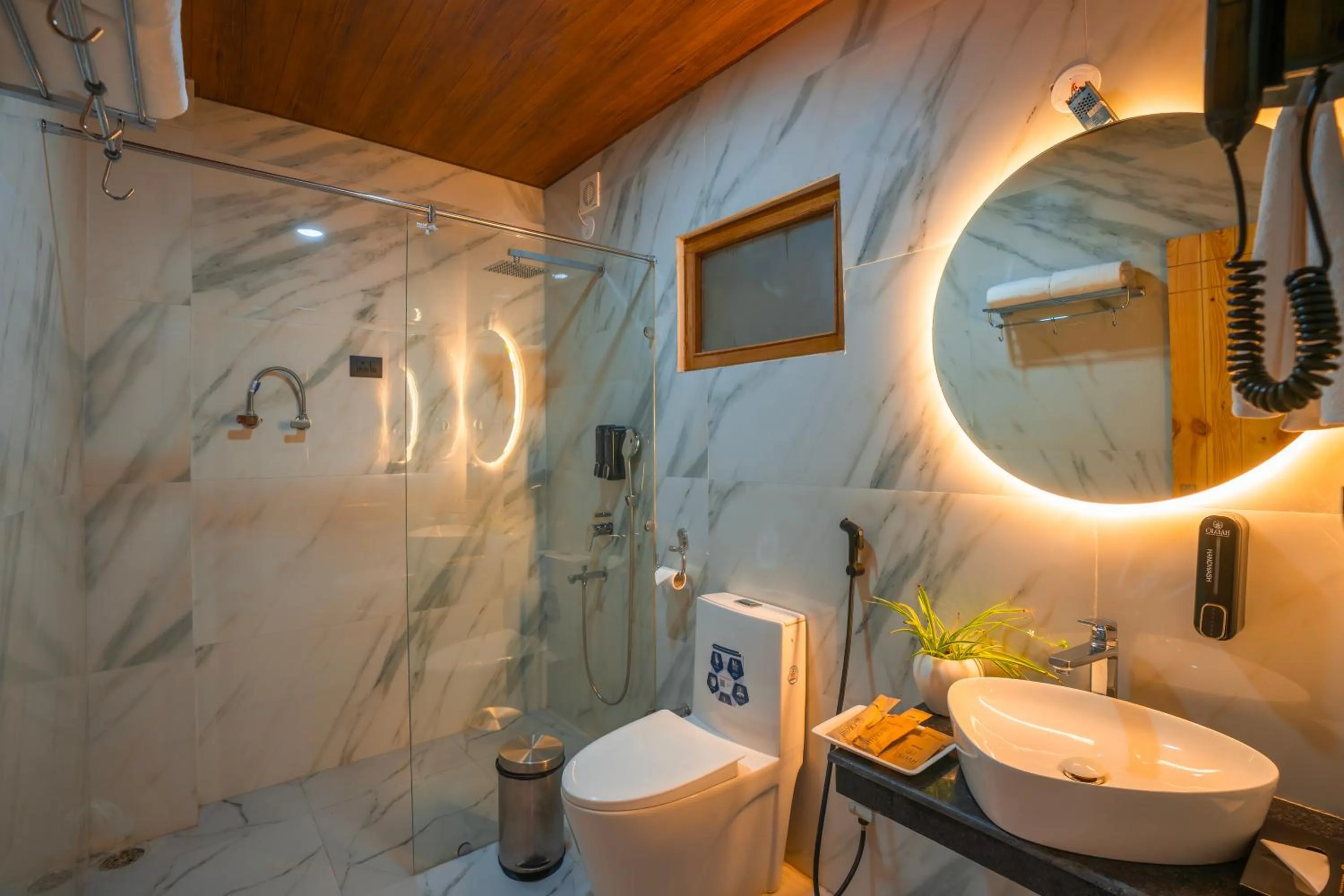Bathroom in Olgah Manali