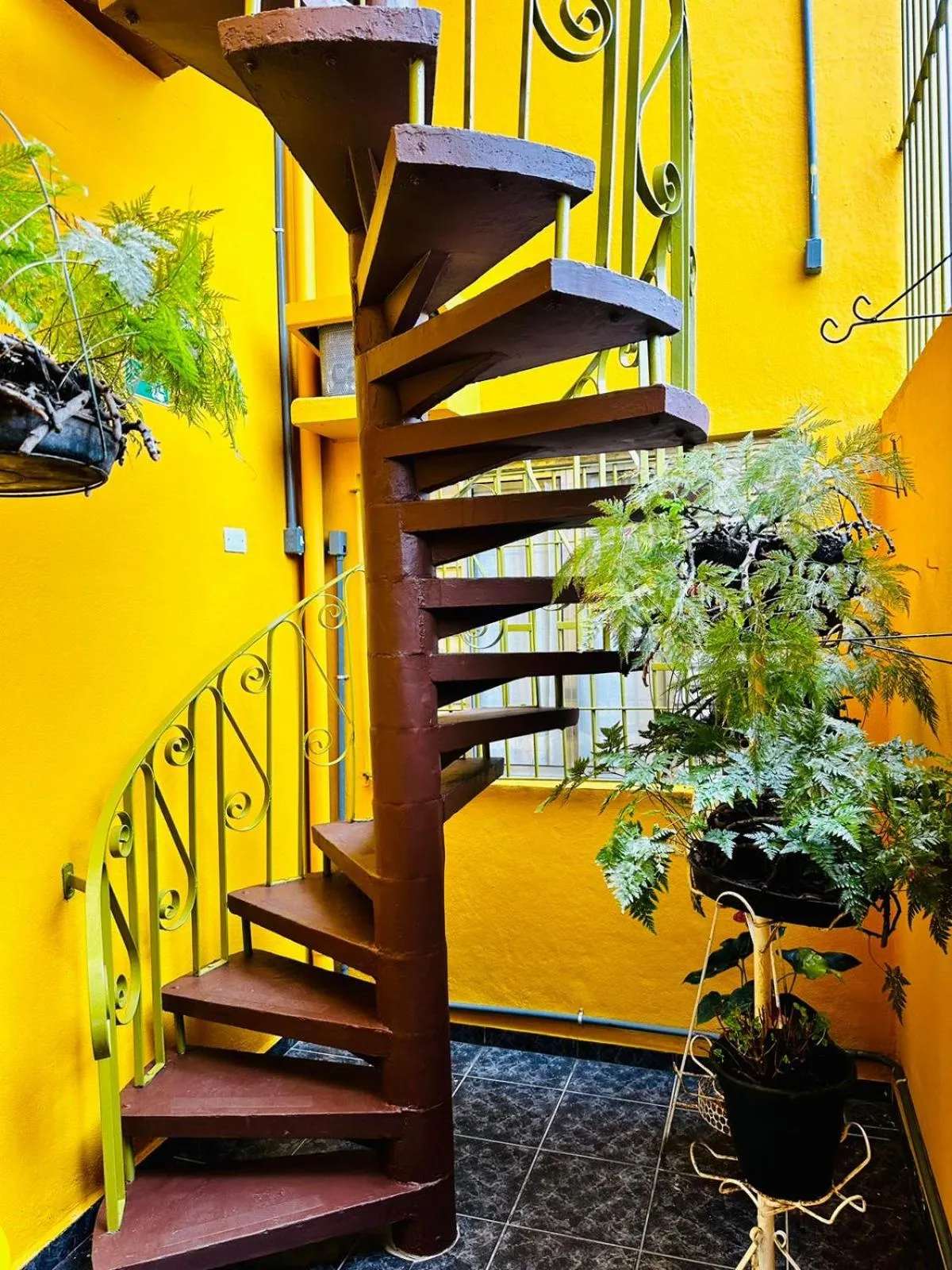 Day in Pousada Amanhecer do Itaguá