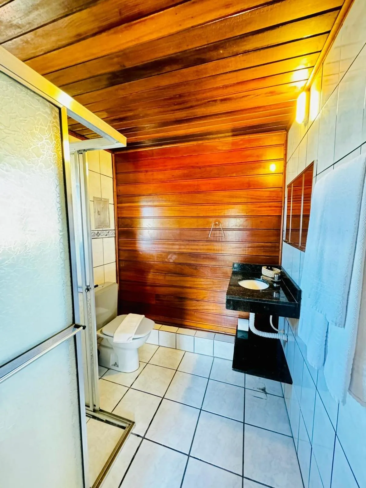 Toilet in Pousada Amanhecer do Itaguá