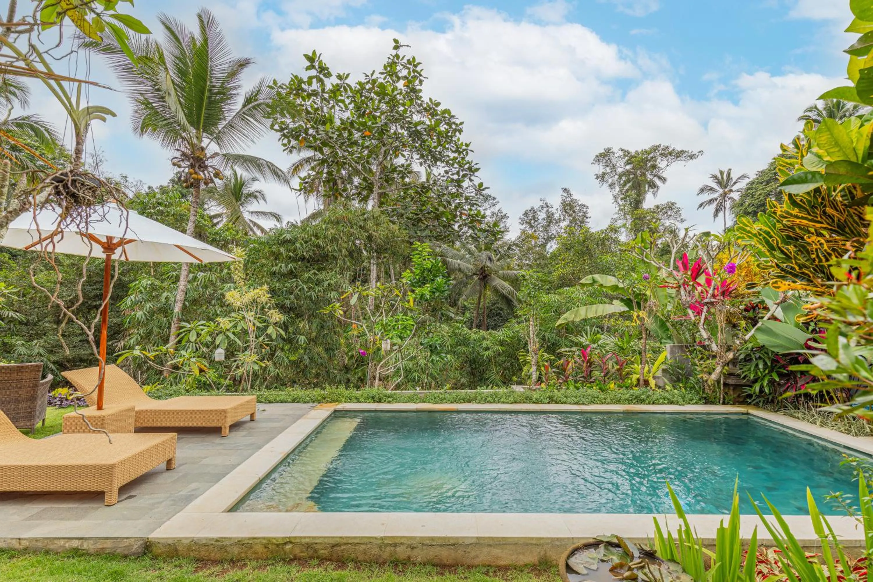 Swimming pool in Campuhan Guesthouse