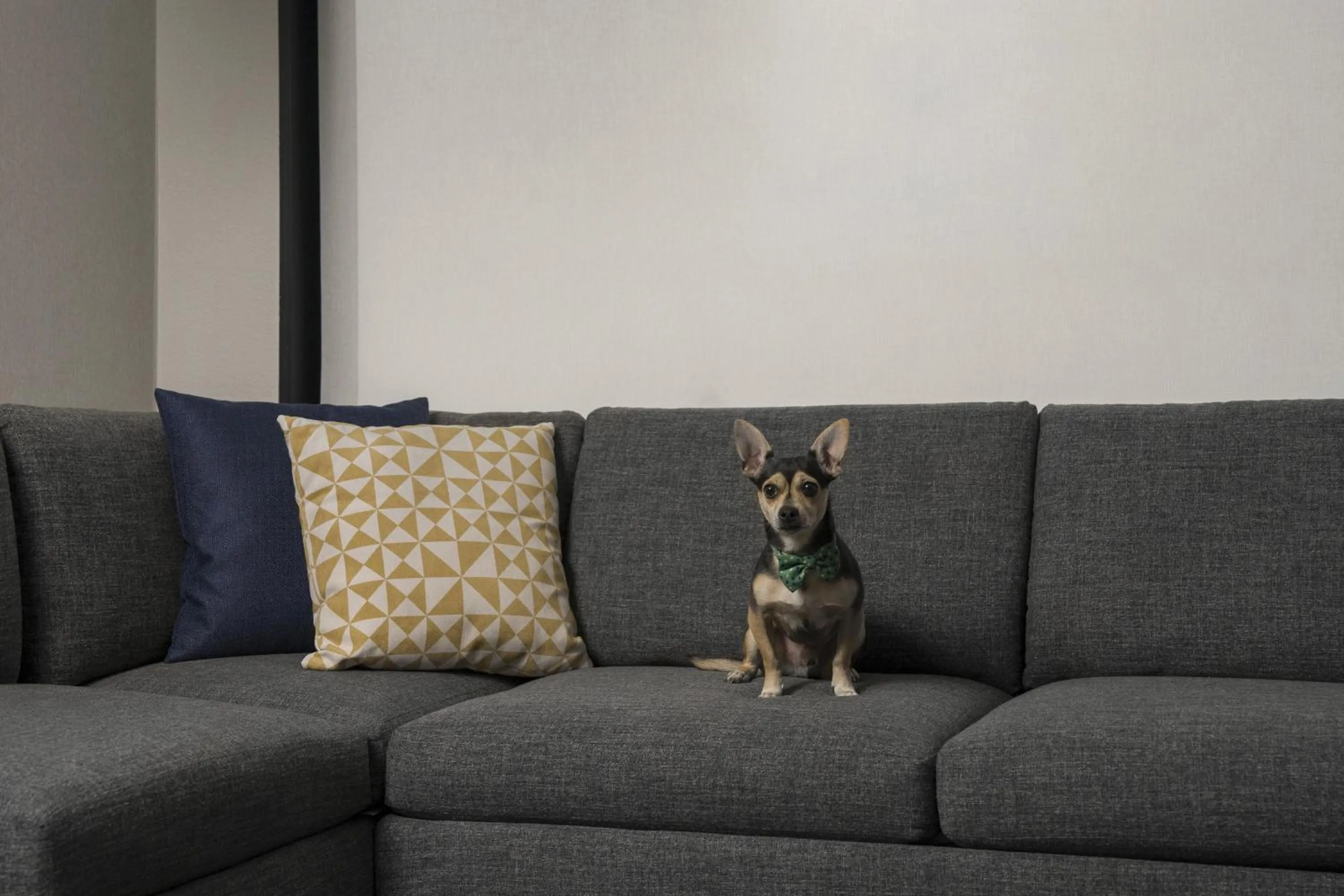 Bedroom in Hyatt Place Denver Cherry Creek