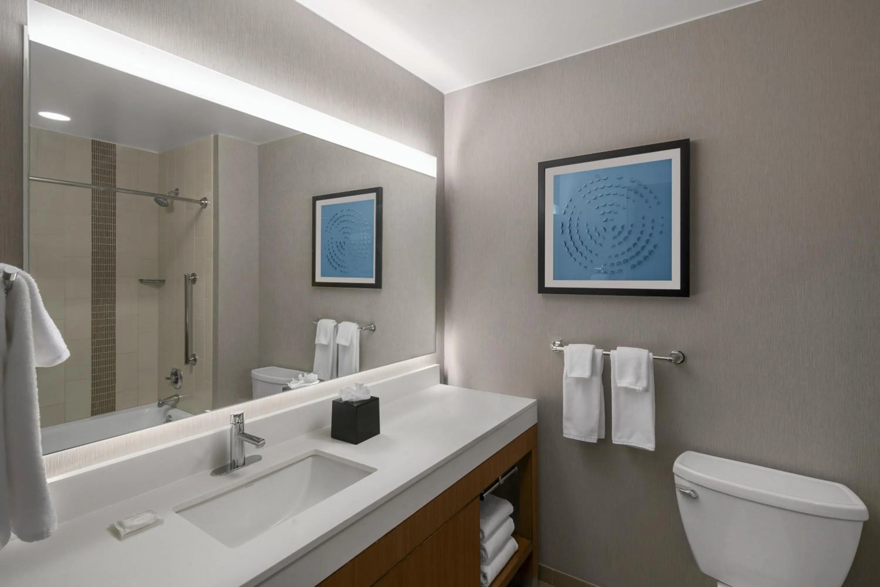 Bathroom in Hyatt Place Denver Cherry Creek