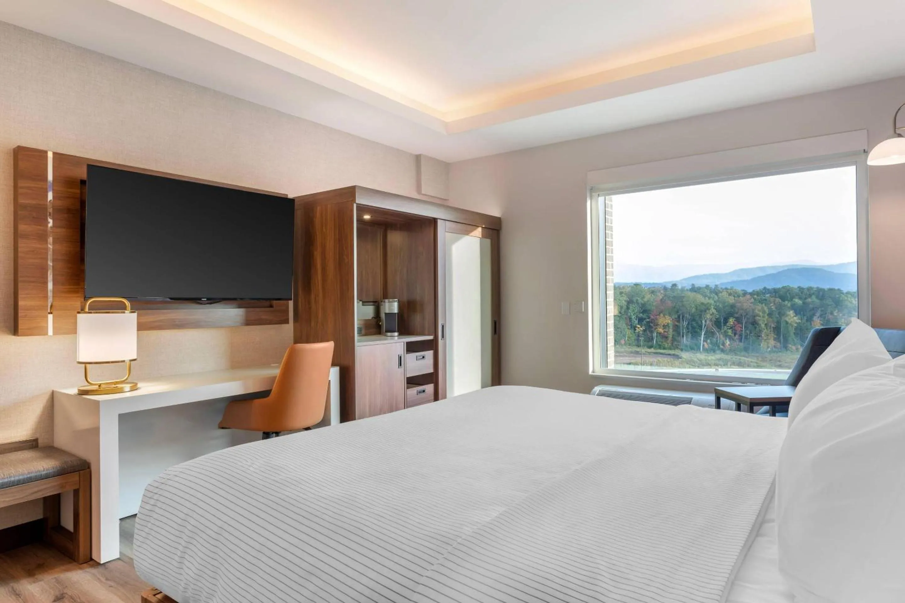 Bedroom, Bed in Cambria Hotel Pigeon Forge