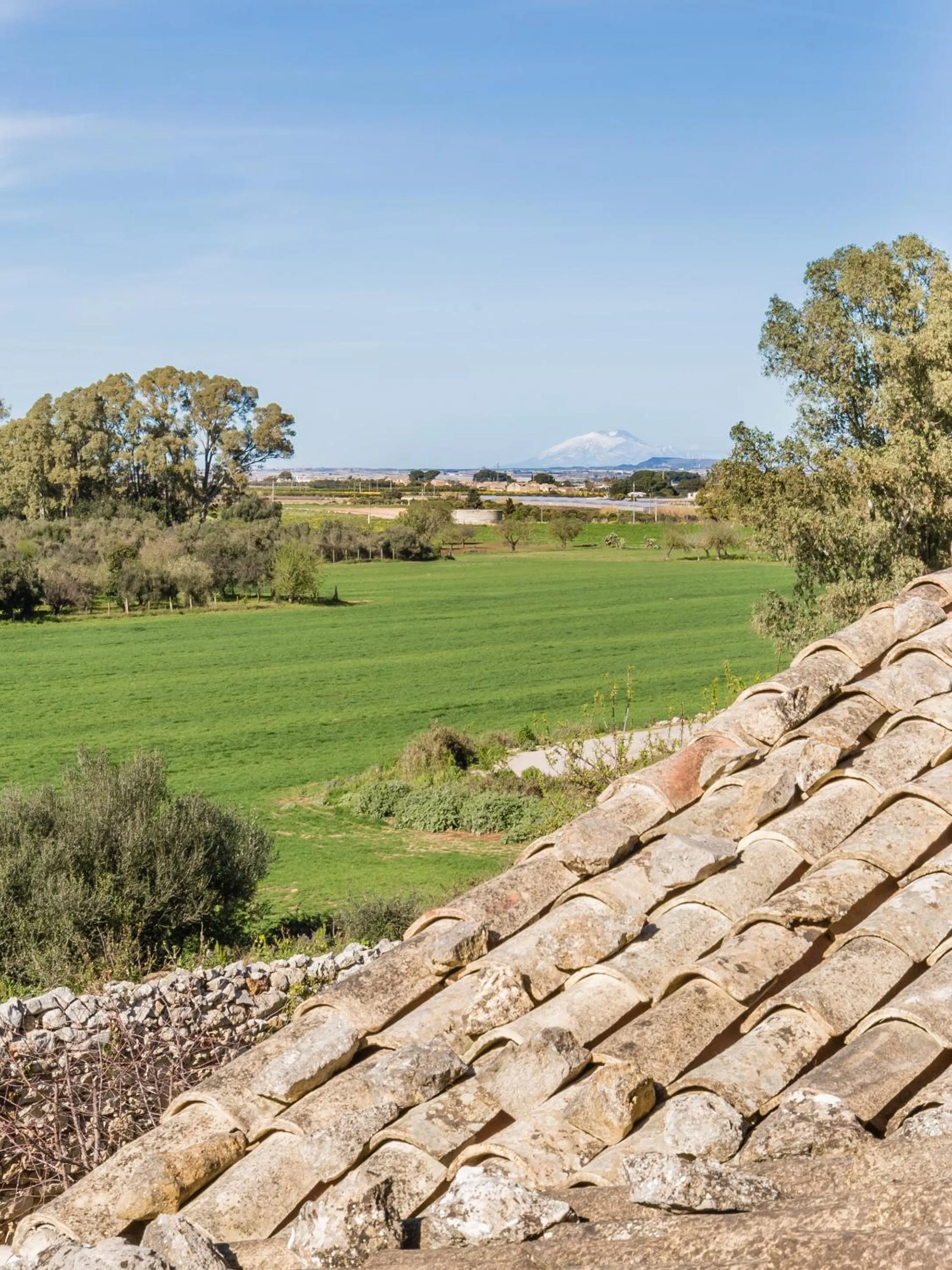 Summer in Baglio Occhipinti
