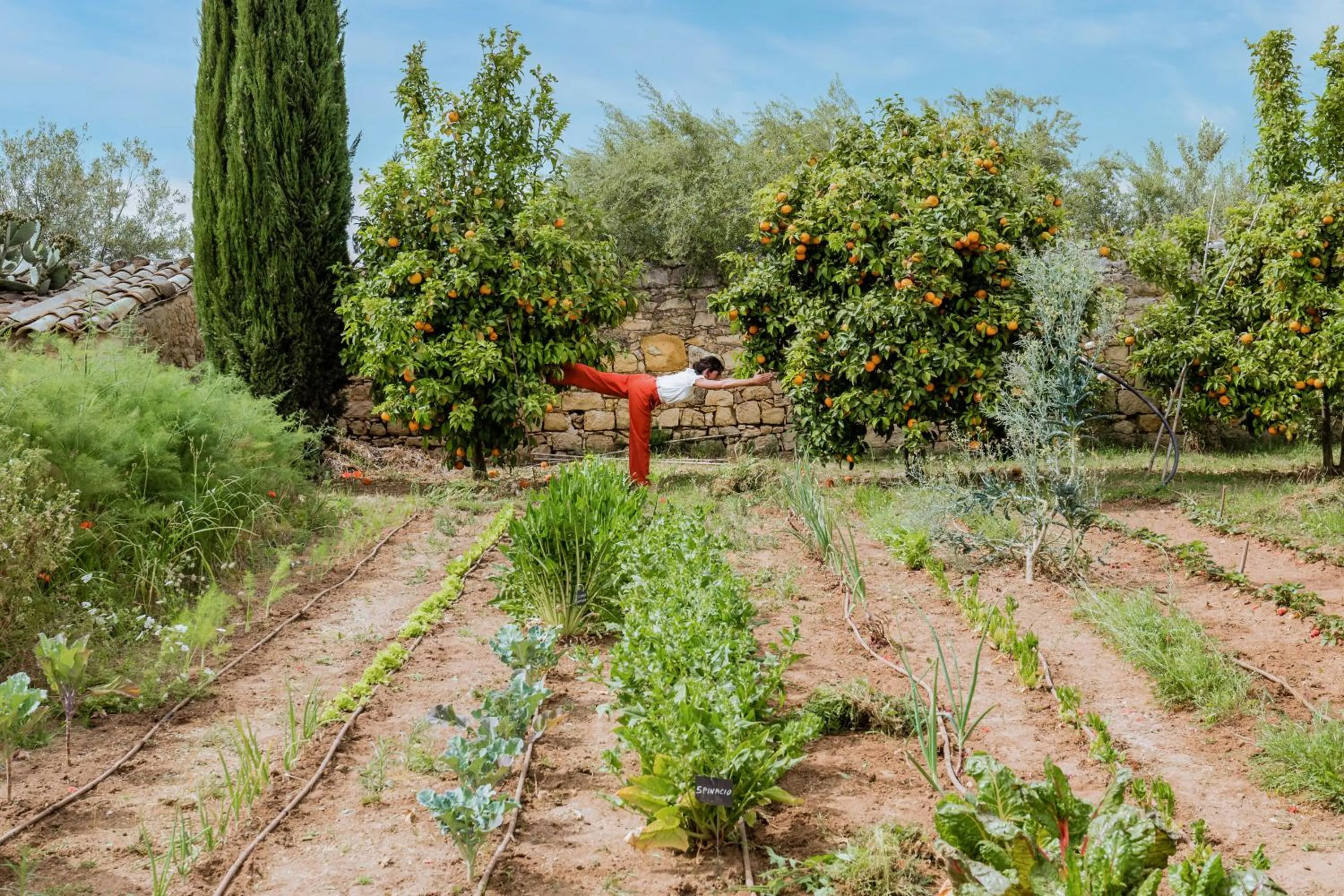 Spa and wellness centre/facilities in Baglio Occhipinti