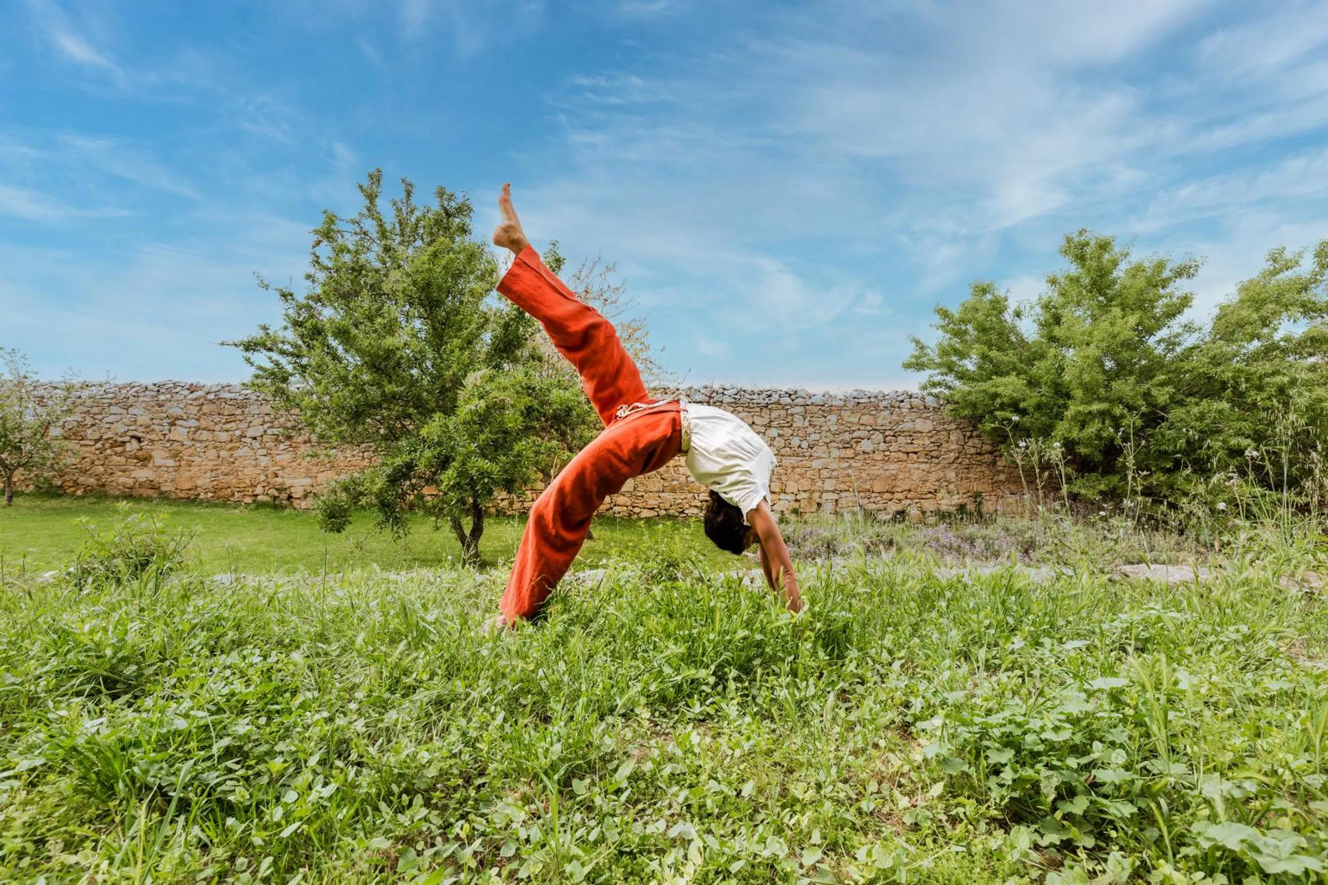 Activities in Baglio Occhipinti