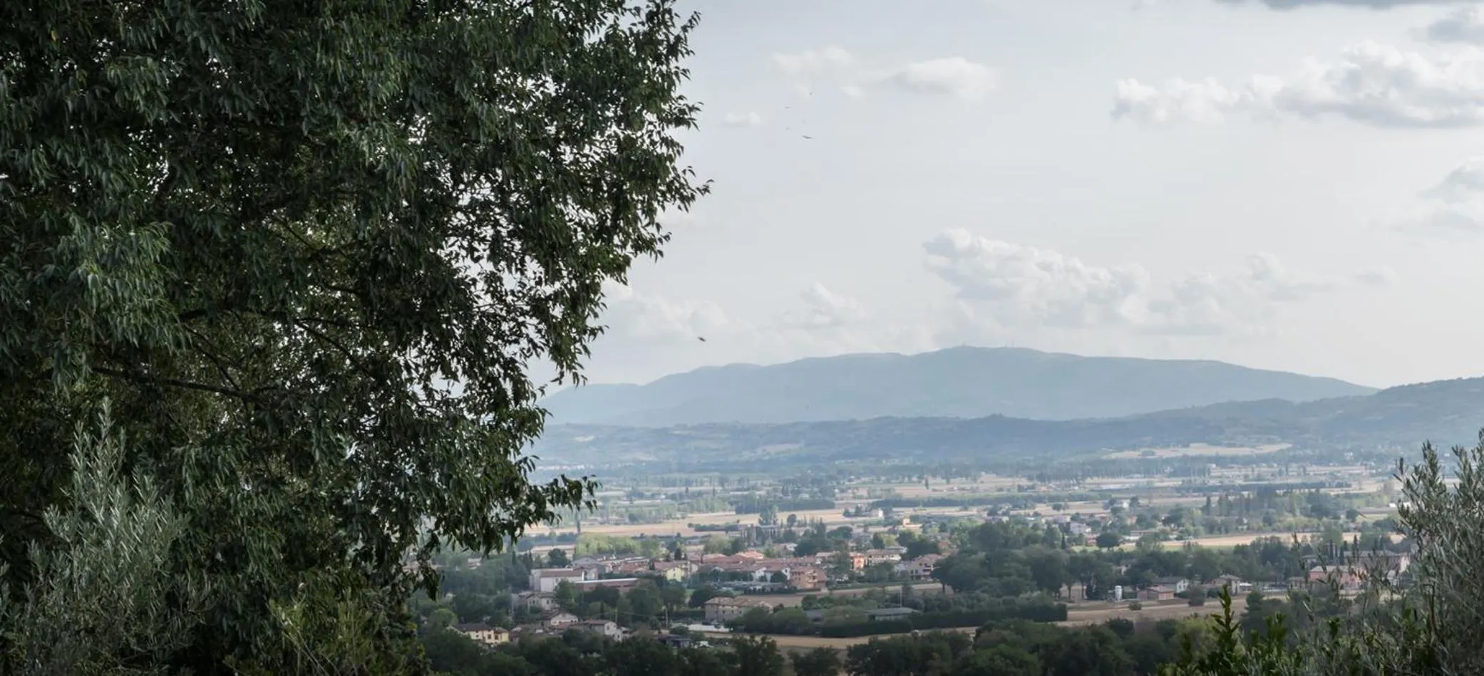 Garden in B&B Cantico Delle Creature