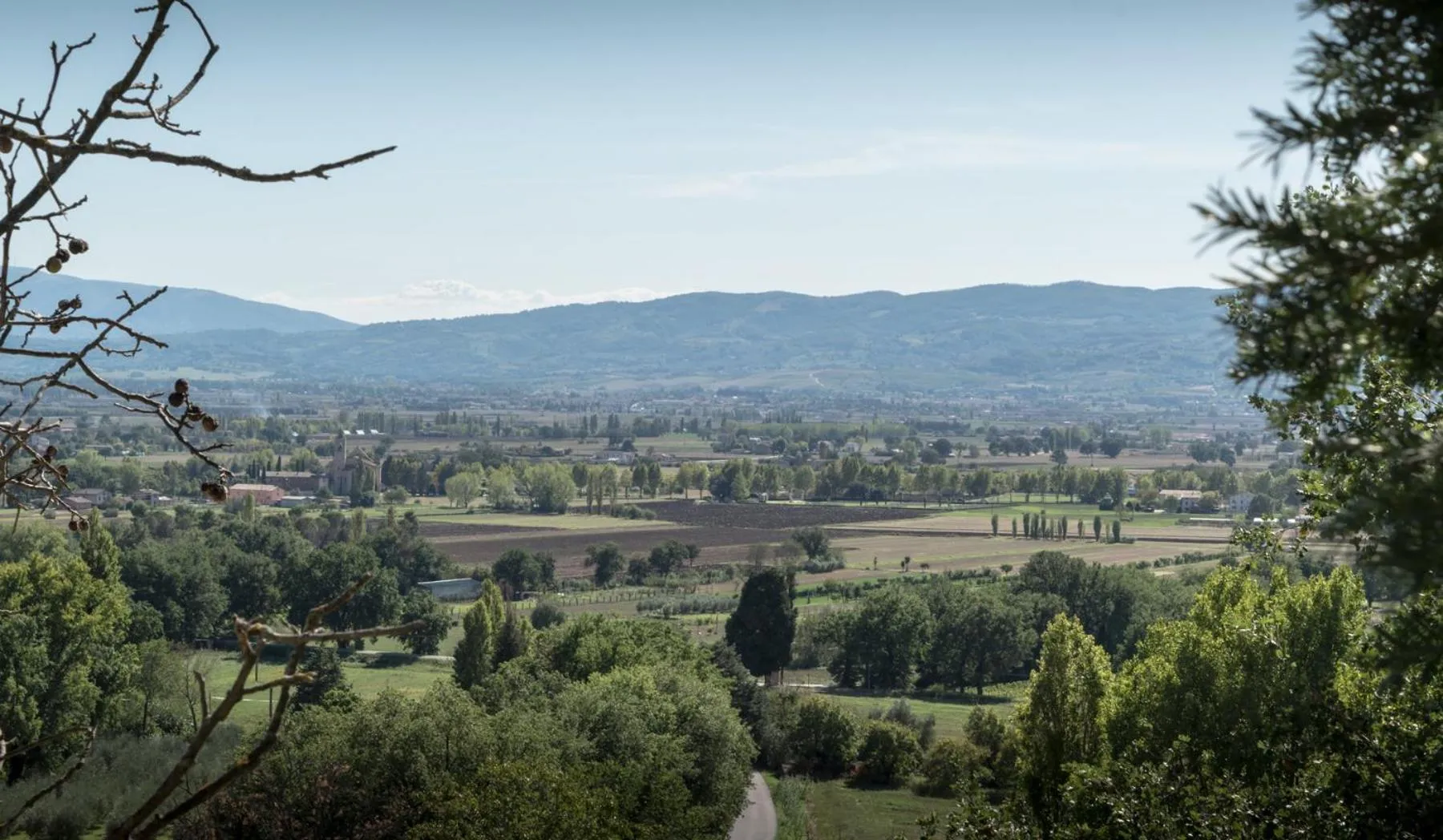 Garden in B&B Cantico Delle Creature