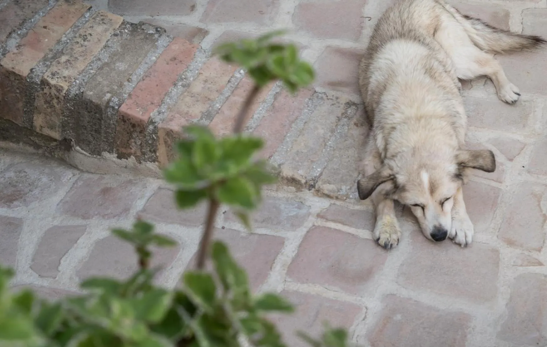 Staff in B&B Cantico Delle Creature