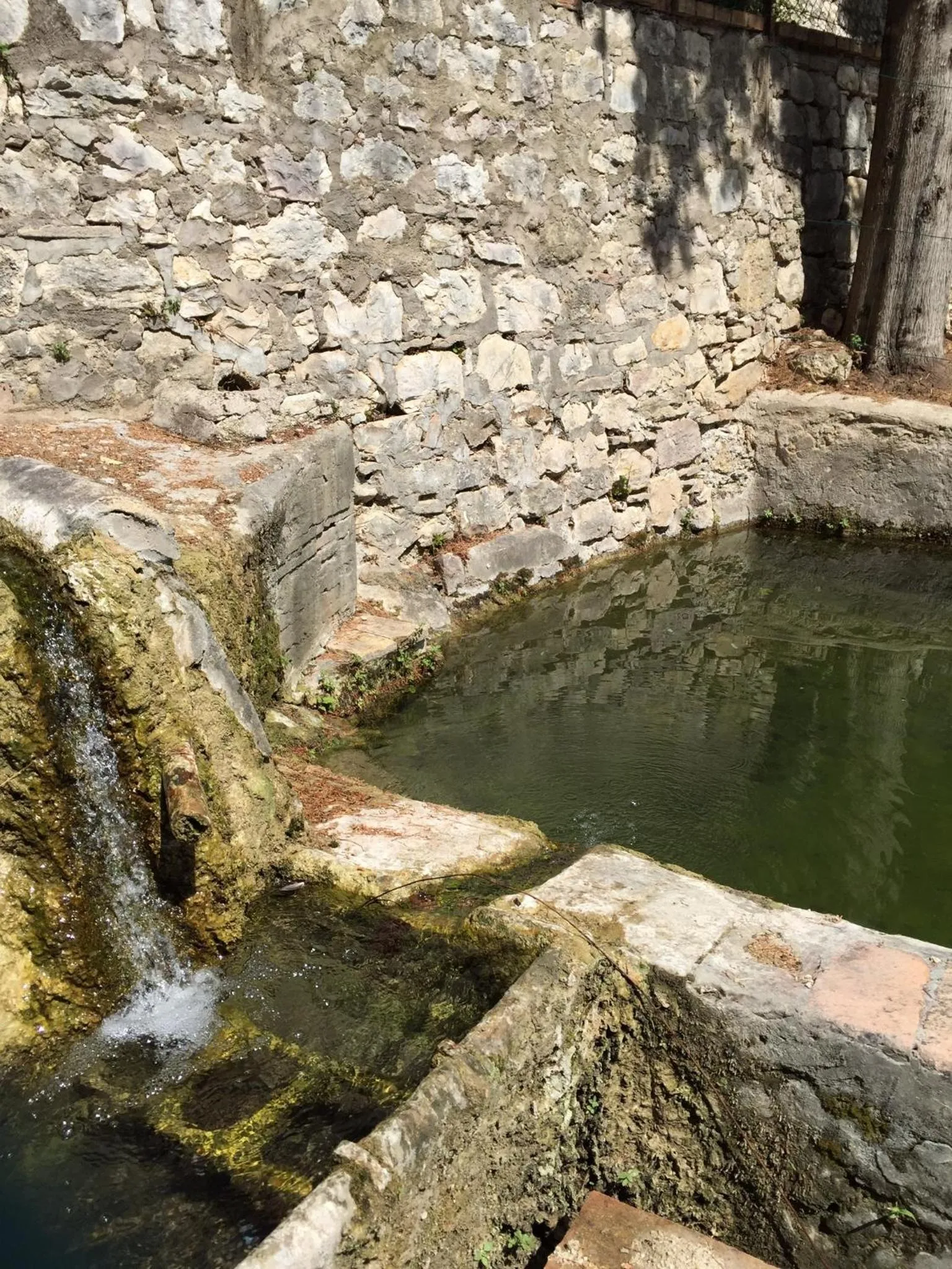 Summer in B&B Cantico Delle Creature