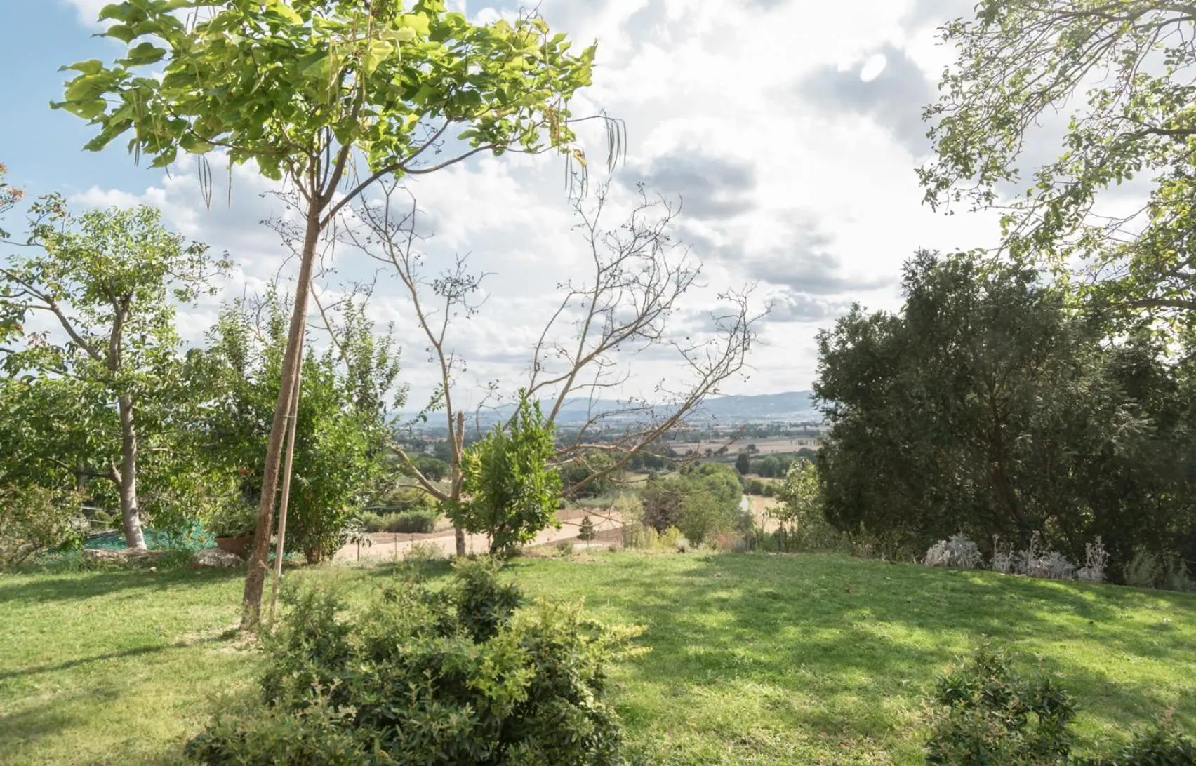 Garden in B&B Cantico Delle Creature