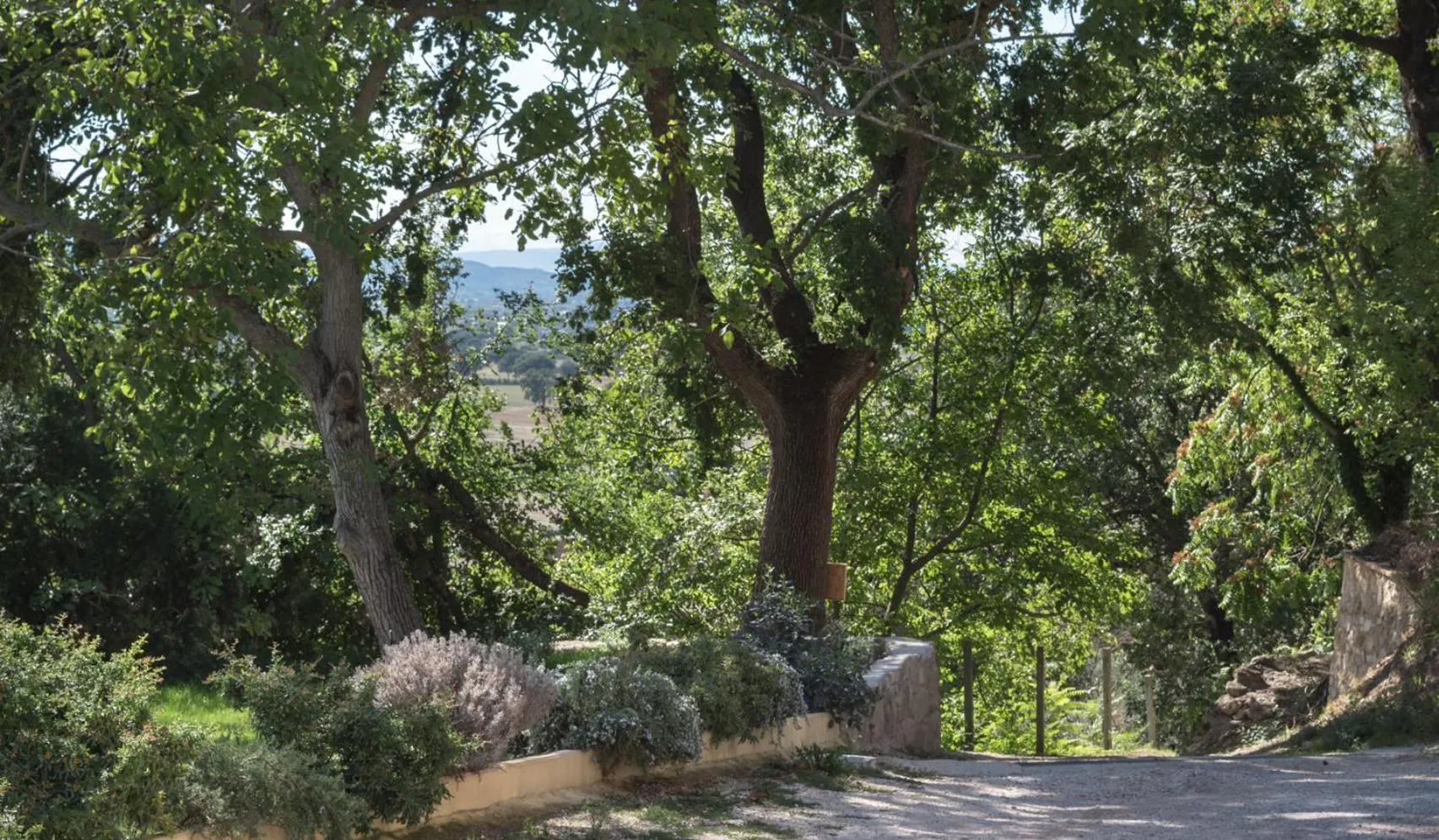 Facade/entrance in B&B Cantico Delle Creature