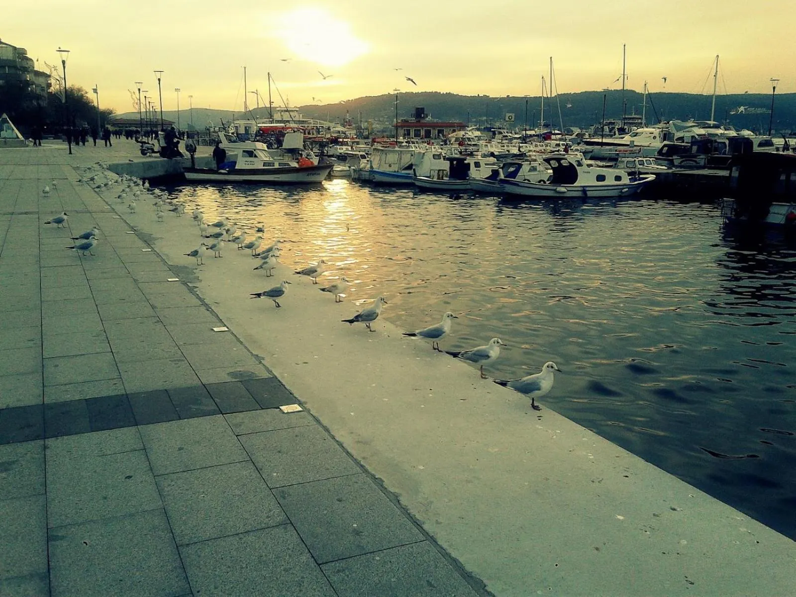 Area and facilities in Kinzi House