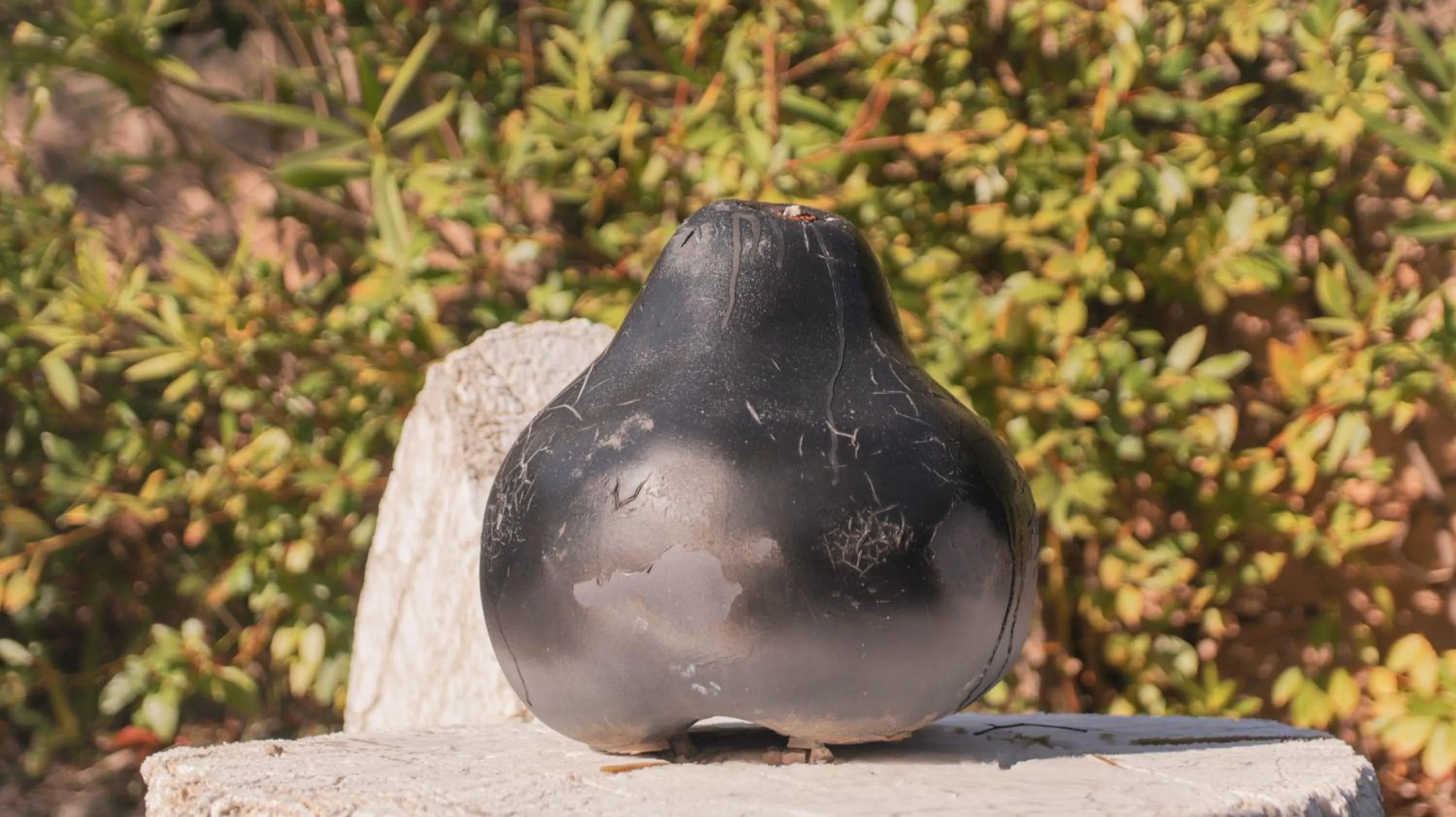 Property building in Villa St Maxime