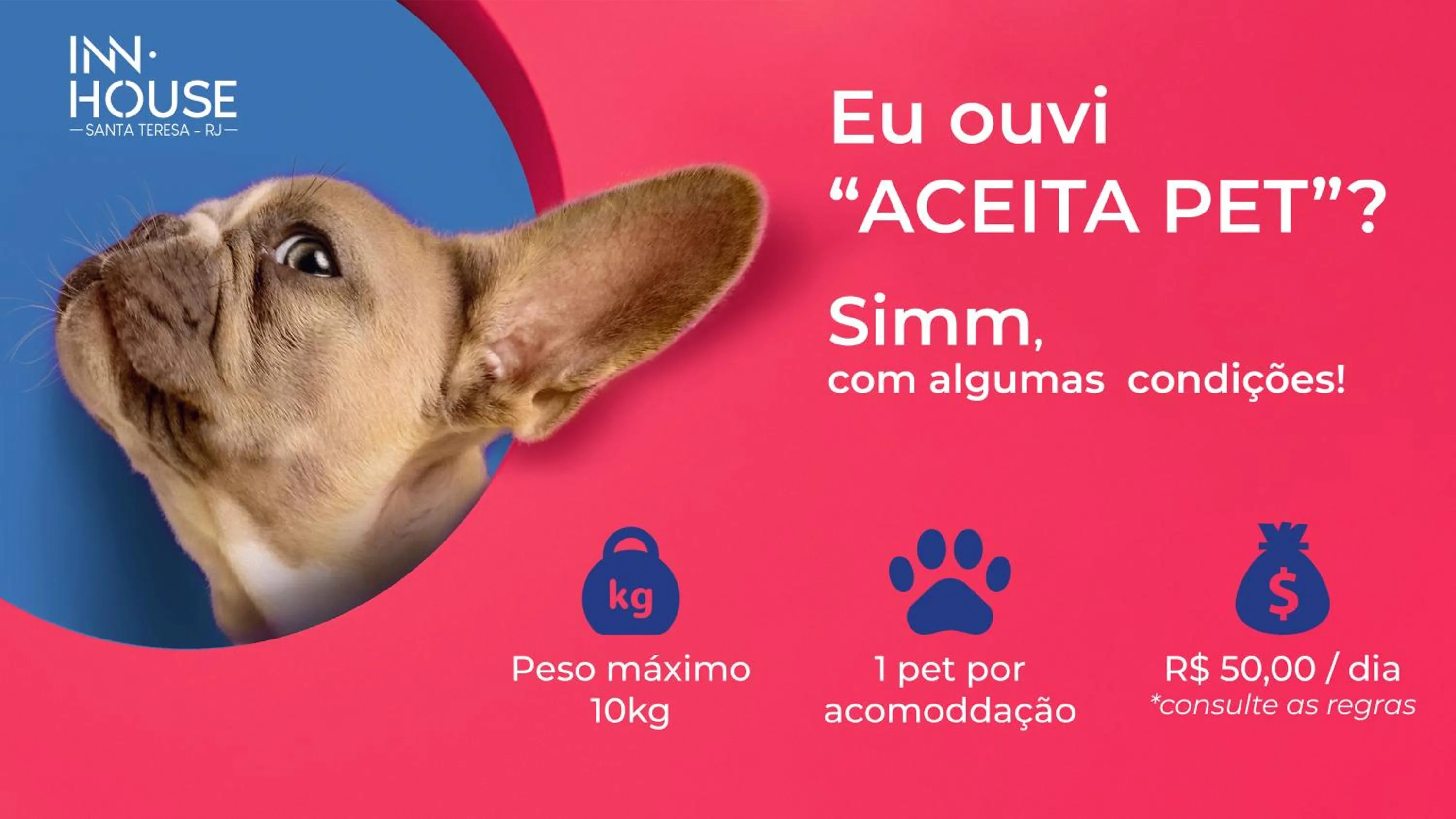 Pets in Inn House Santa Teresa