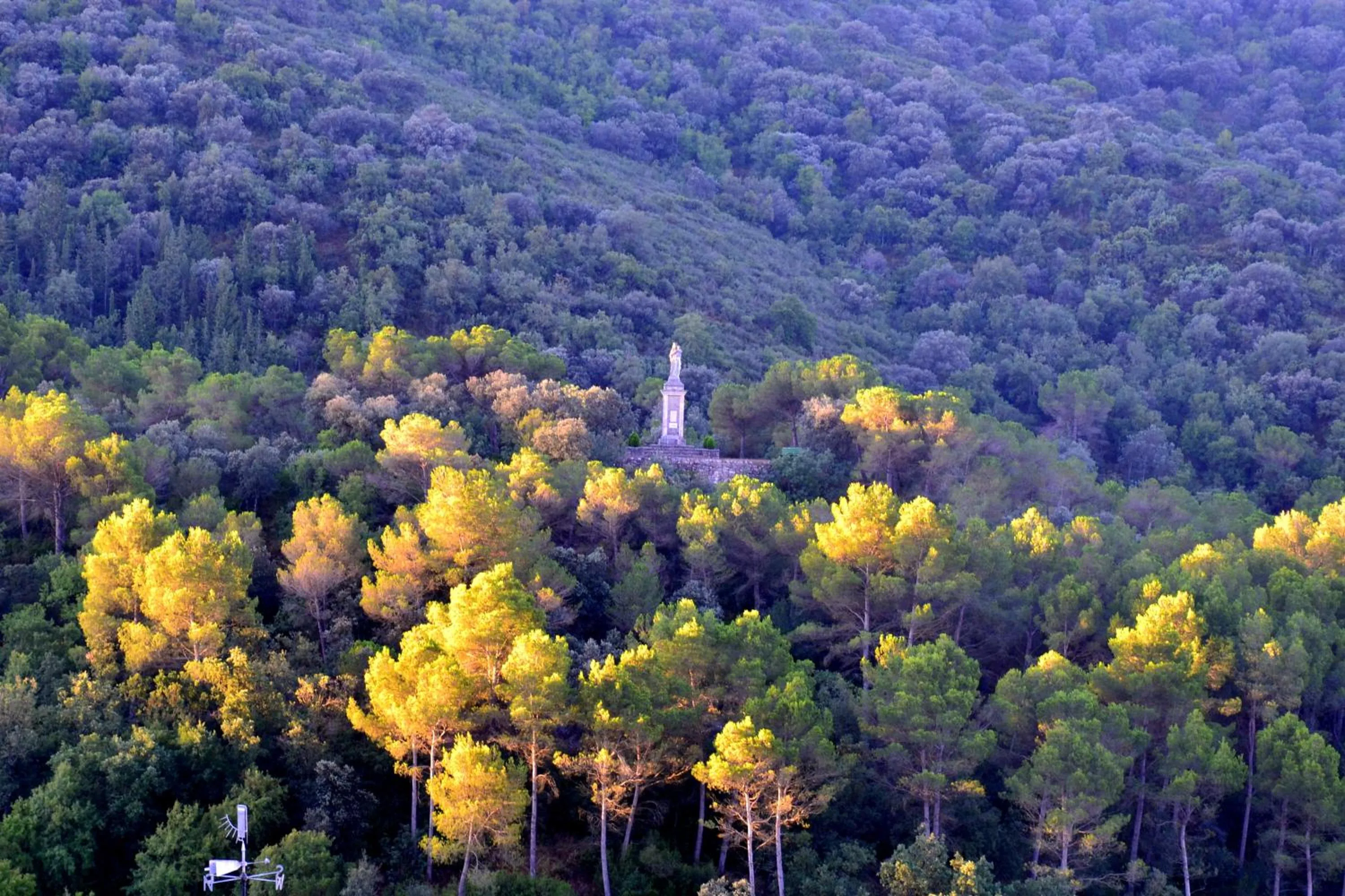 Garden in Monestir de Les Avellanes