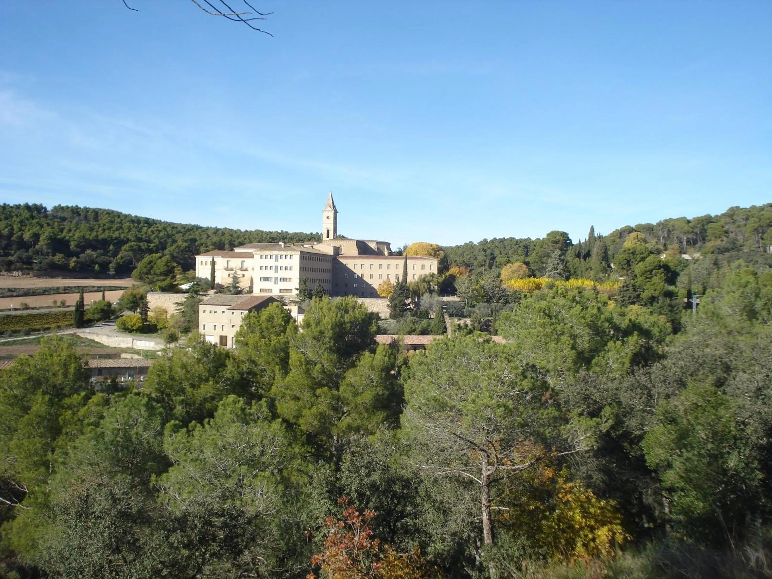 Facade/entrance in Monestir de Les Avellanes