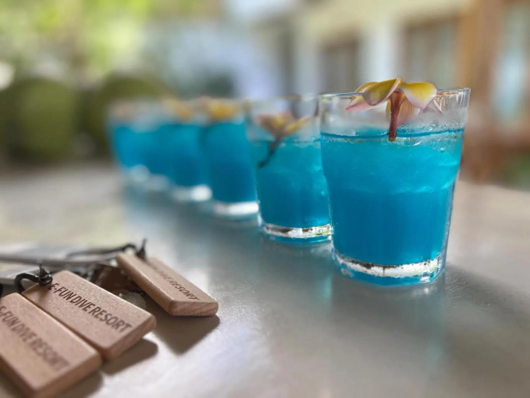 Lounge or bar in E-Fun Dive Resort