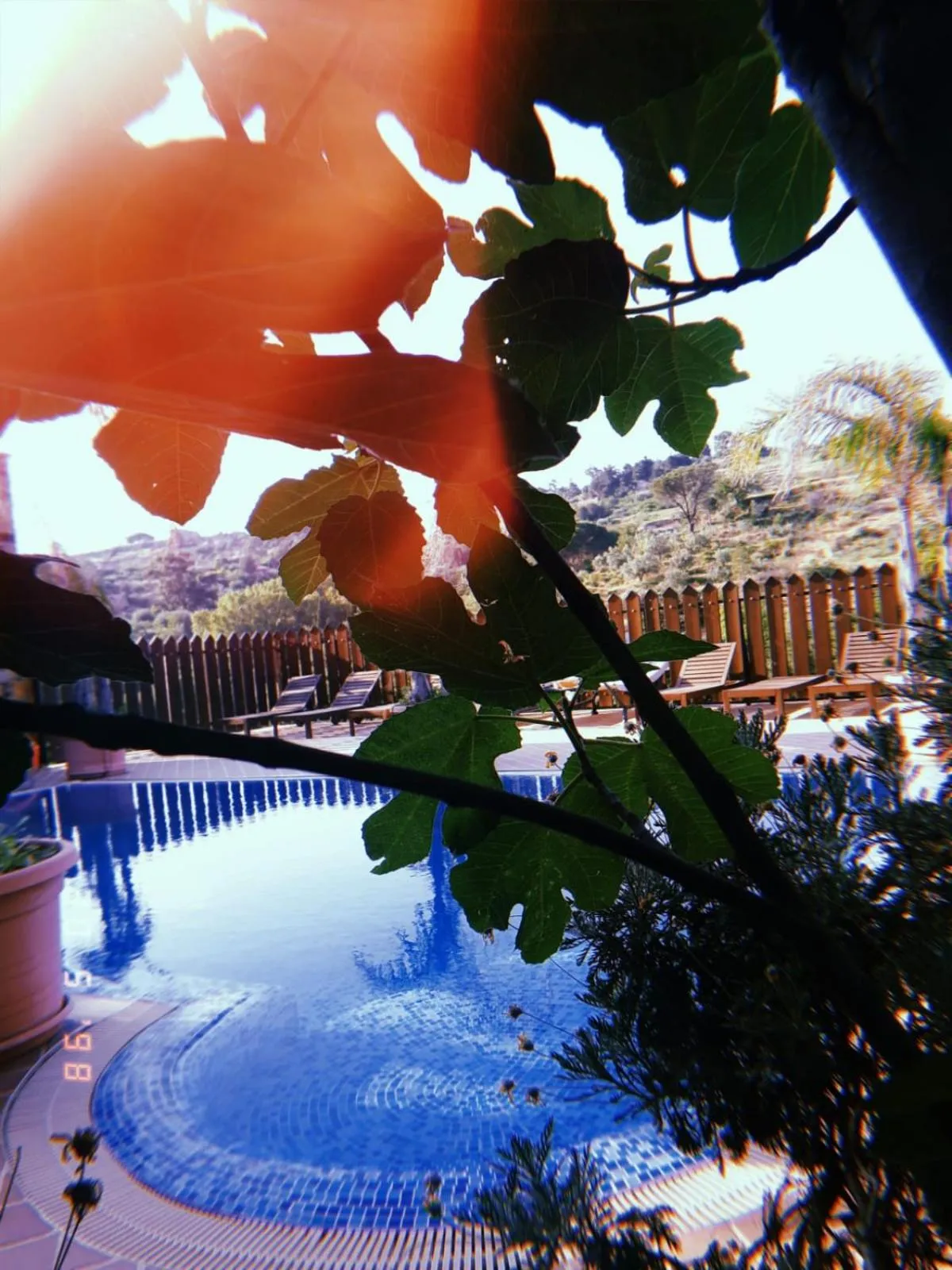 Swimming pool in Castello