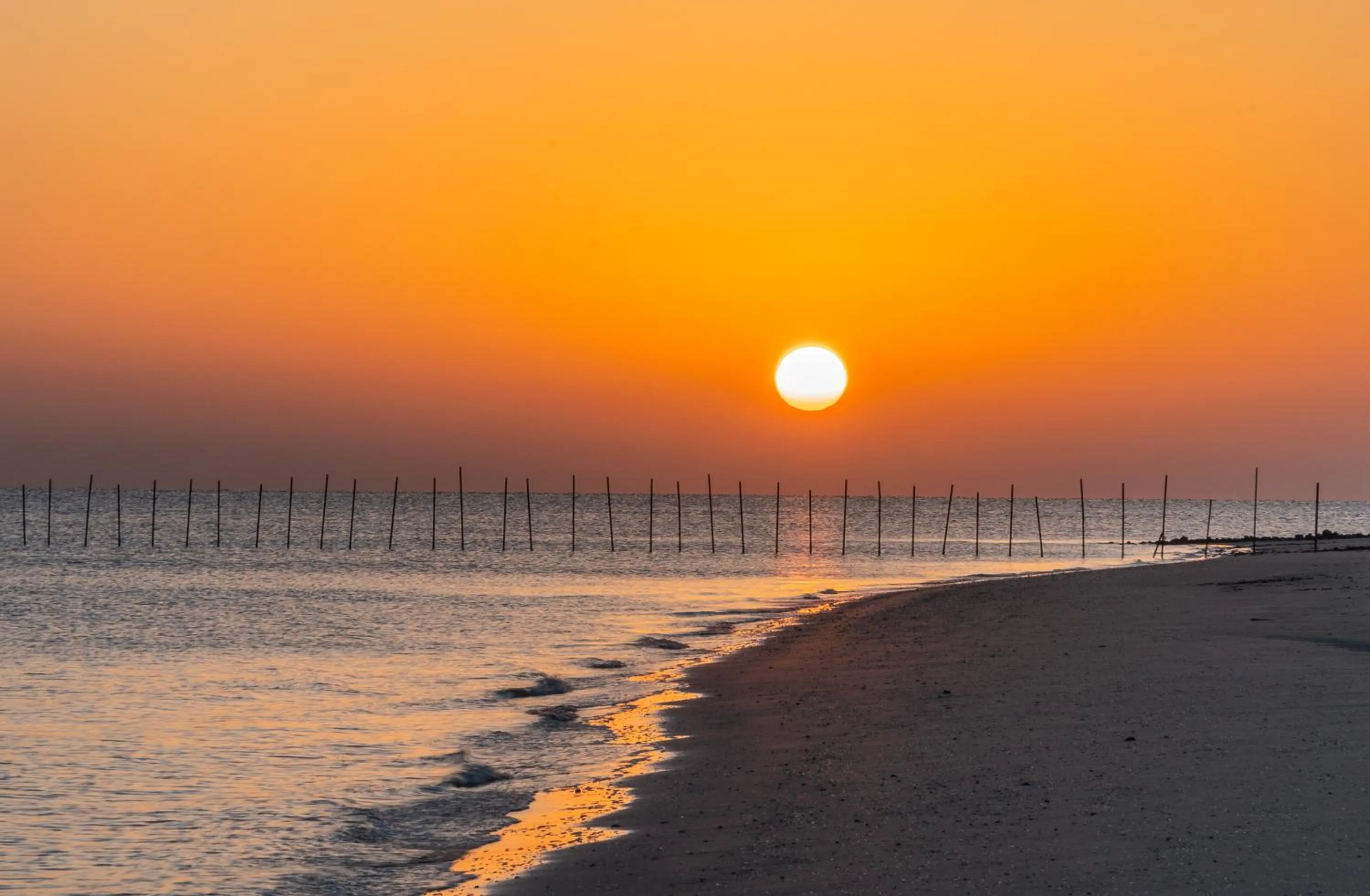 Beach in Beach Bay Hotel Mirfa