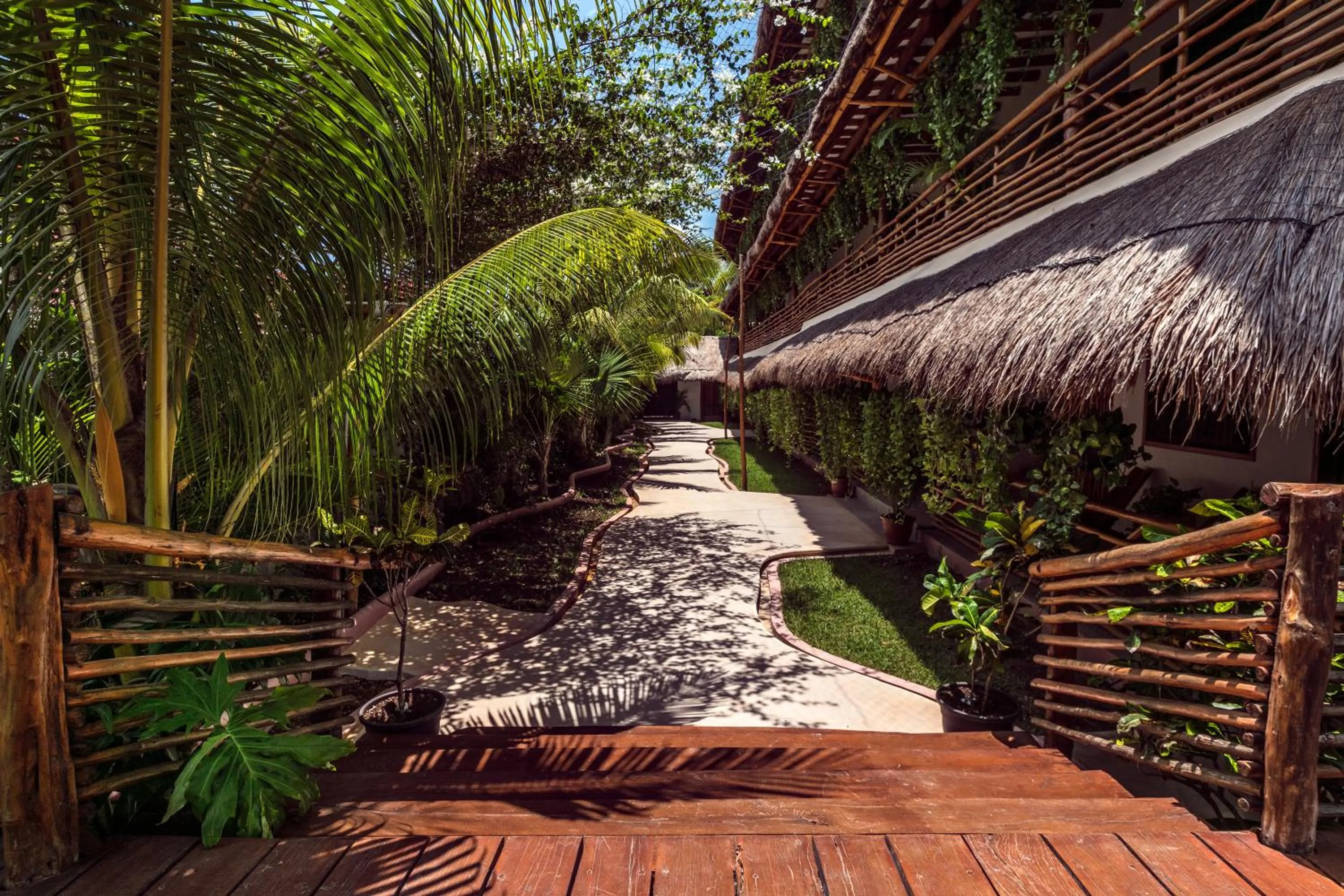 Garden in La Palma Holbox