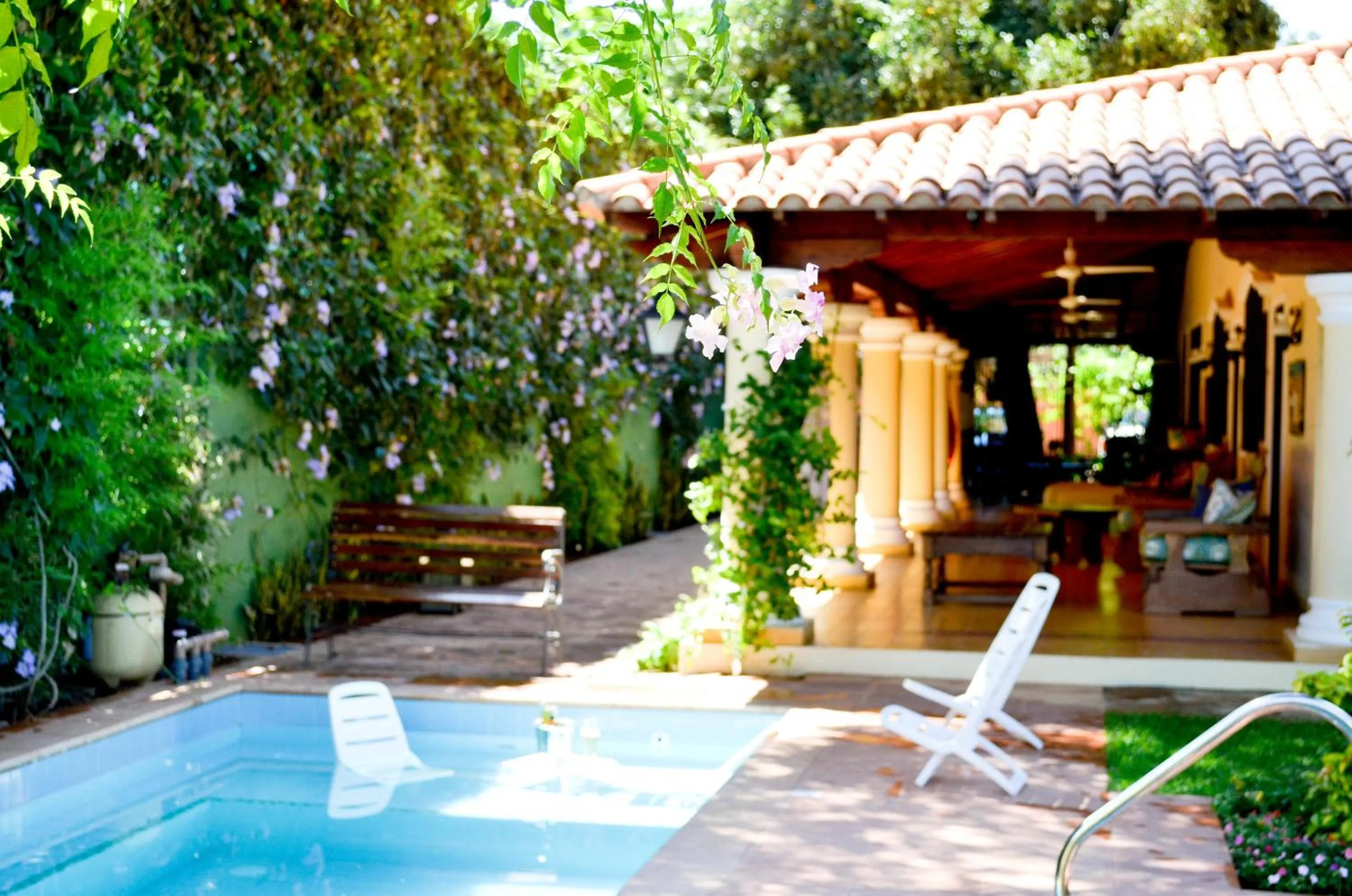 Garden in La Casona Hotel Boutique