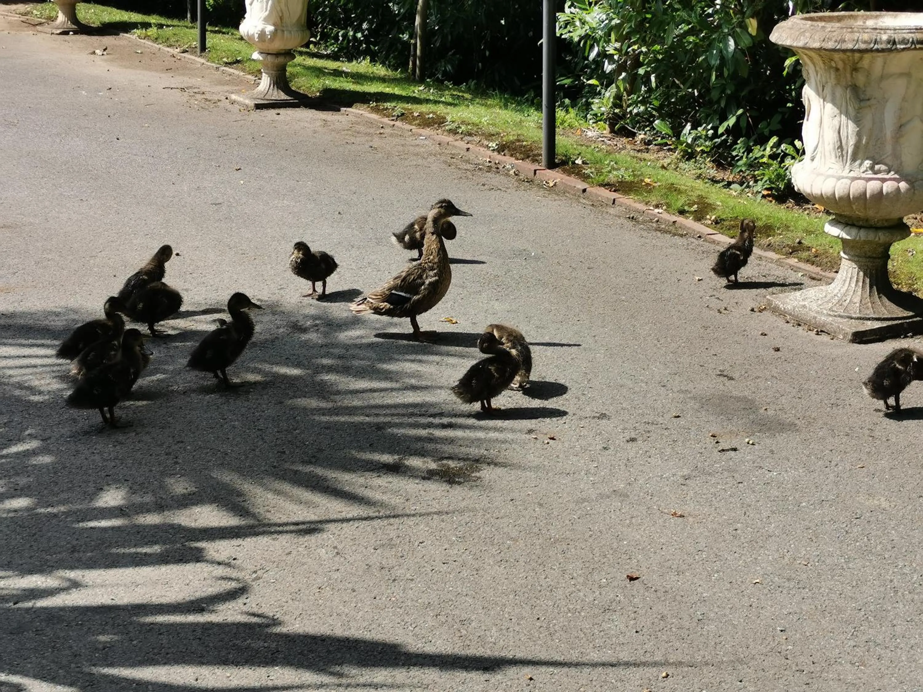 Nearby landmark in Stanhill Court Hotel, a member of Radisson Individuals