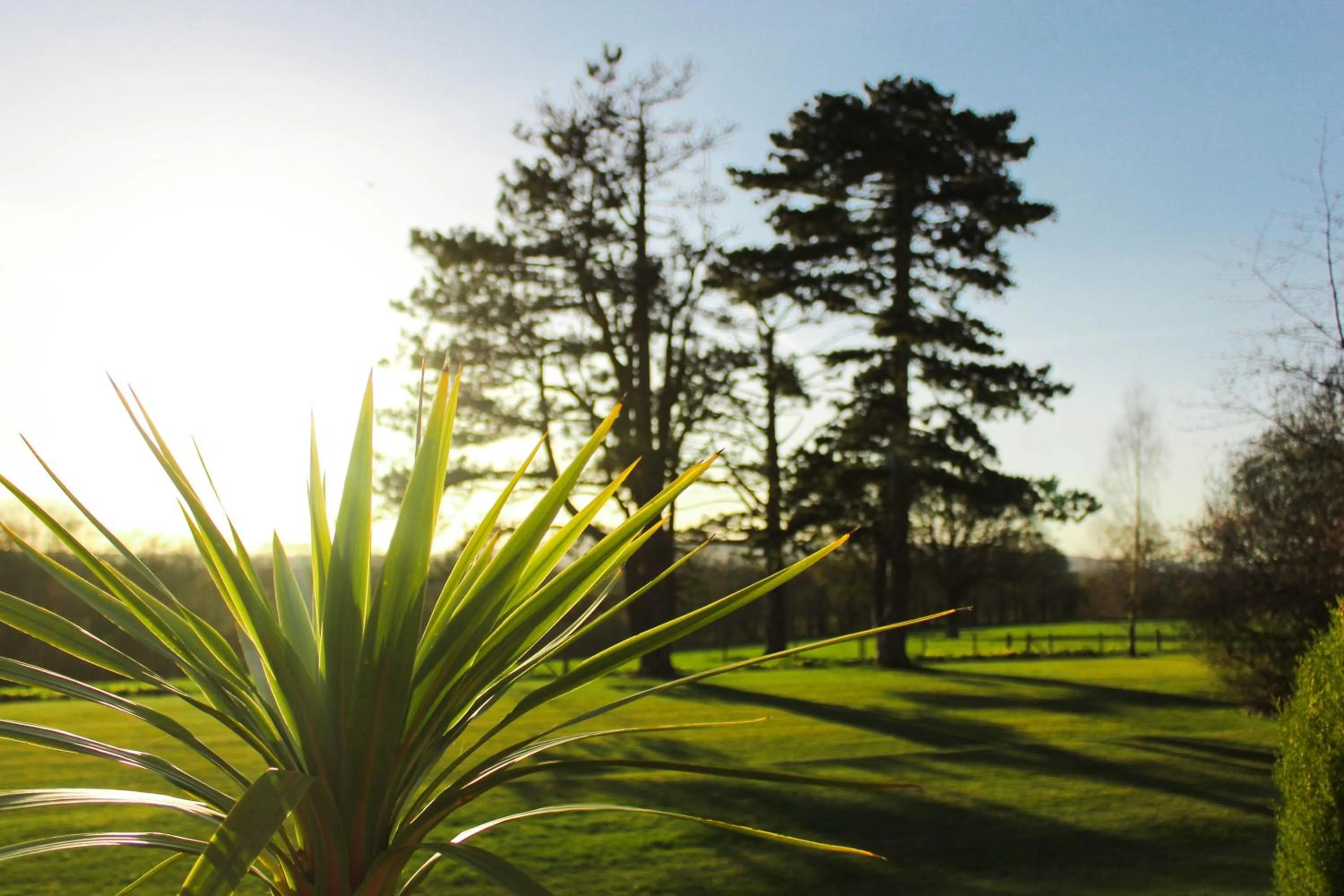 Garden in Stanhill Court Hotel, a member of Radisson Individuals