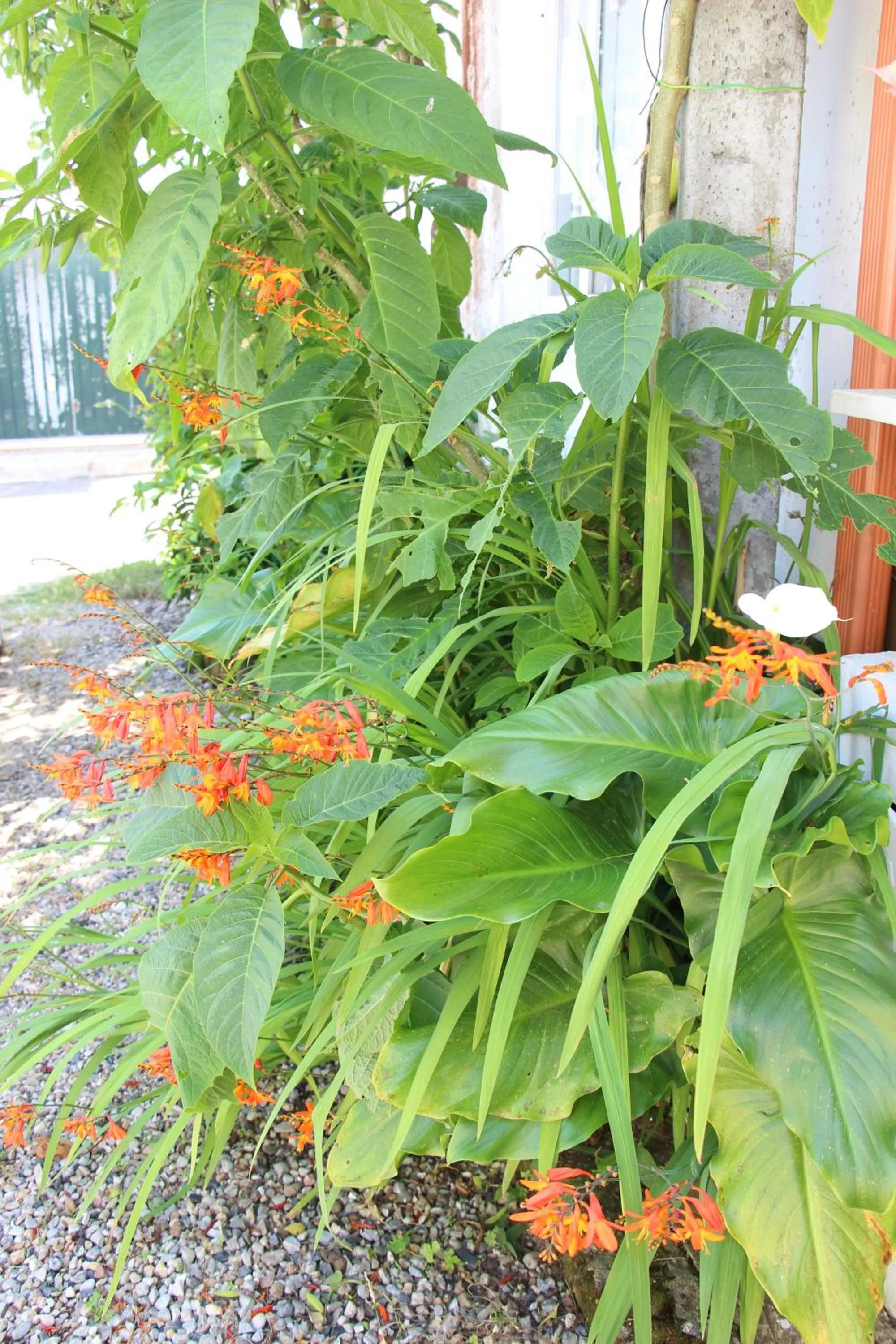 Facade/entrance in Casa o Futuro