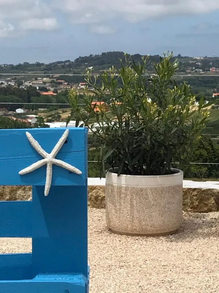 Decorative detail in Casa o Futuro