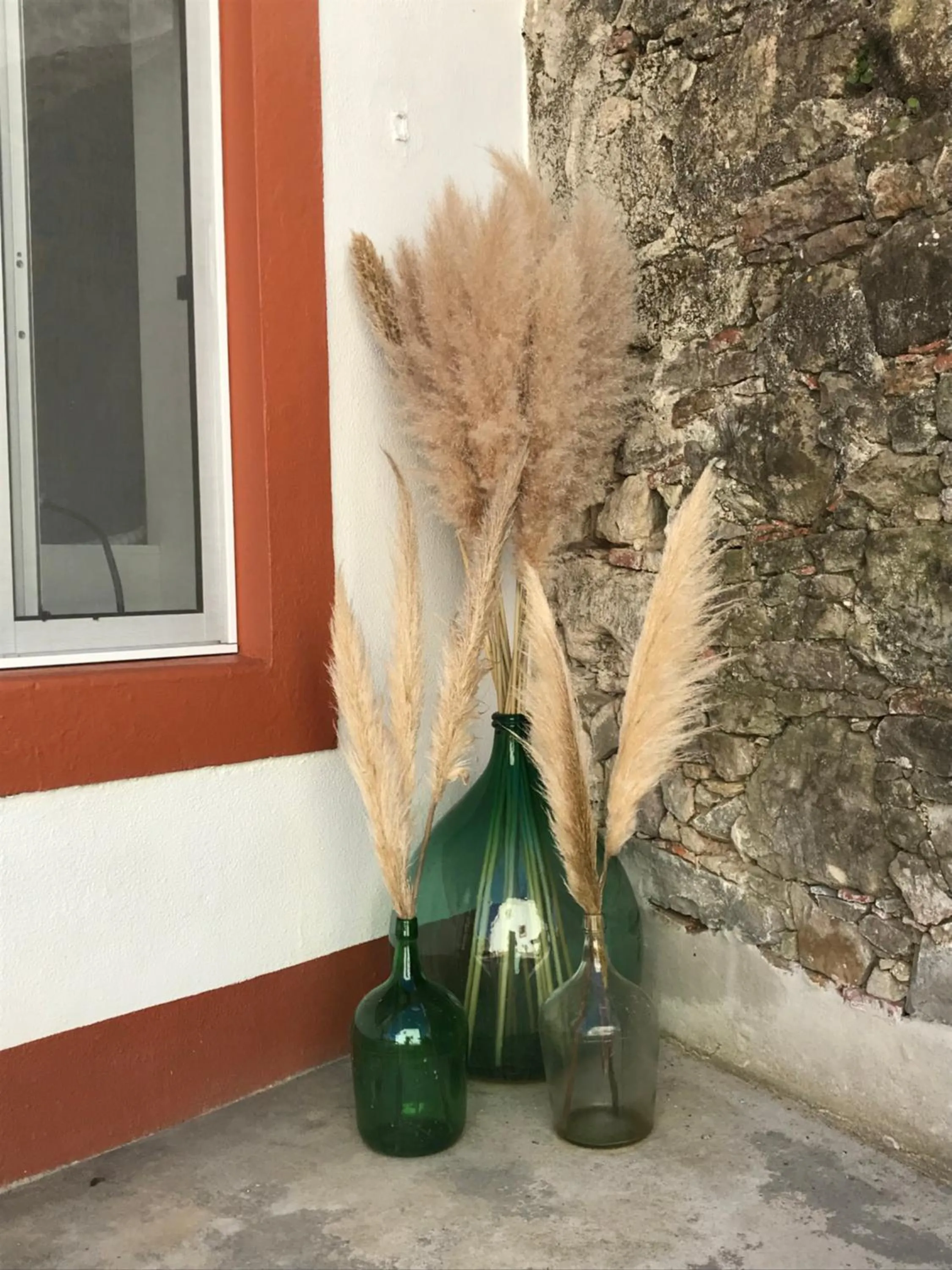 Property building in Casa o Futuro