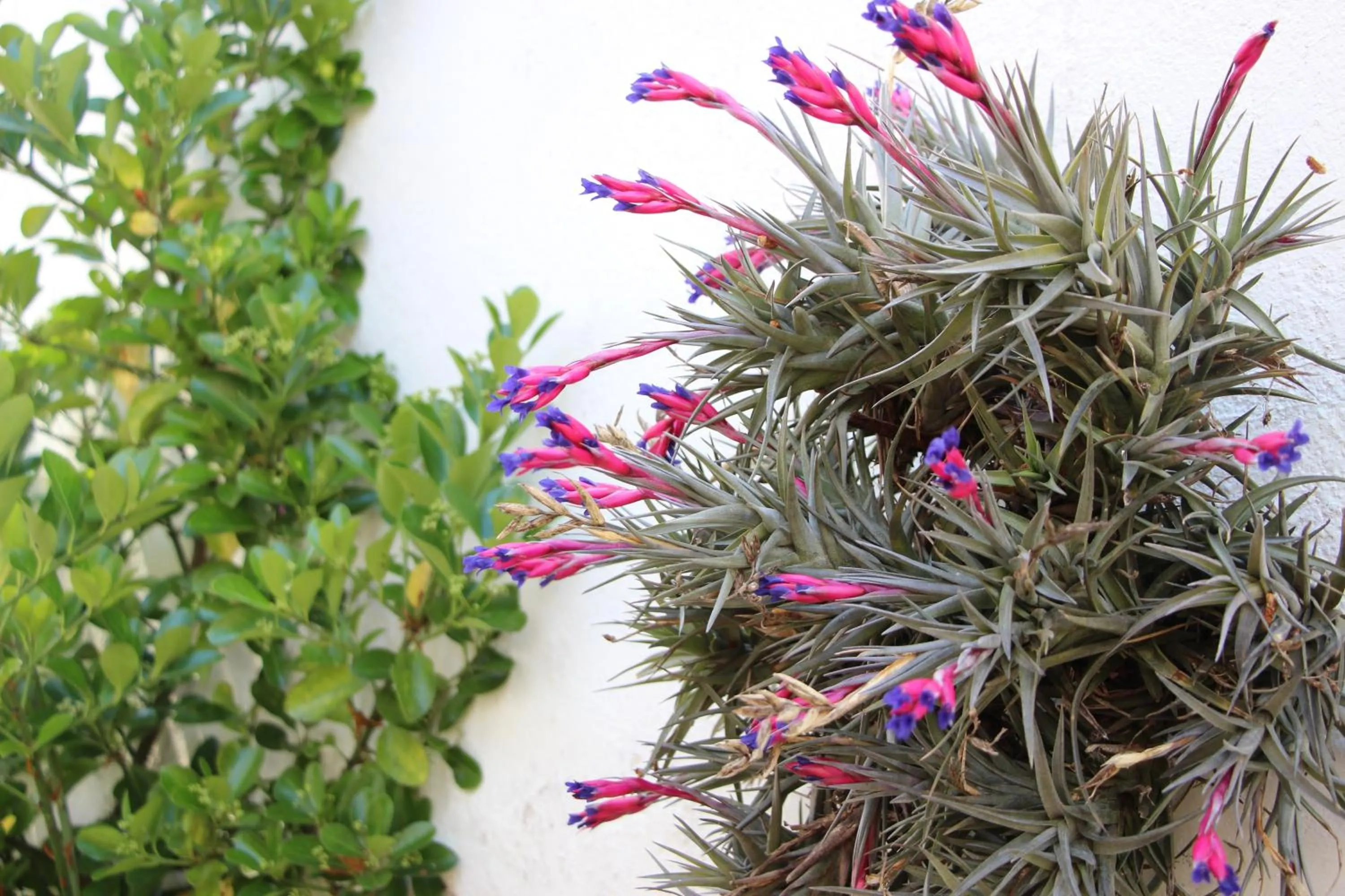 Facade/entrance in Casa o Futuro