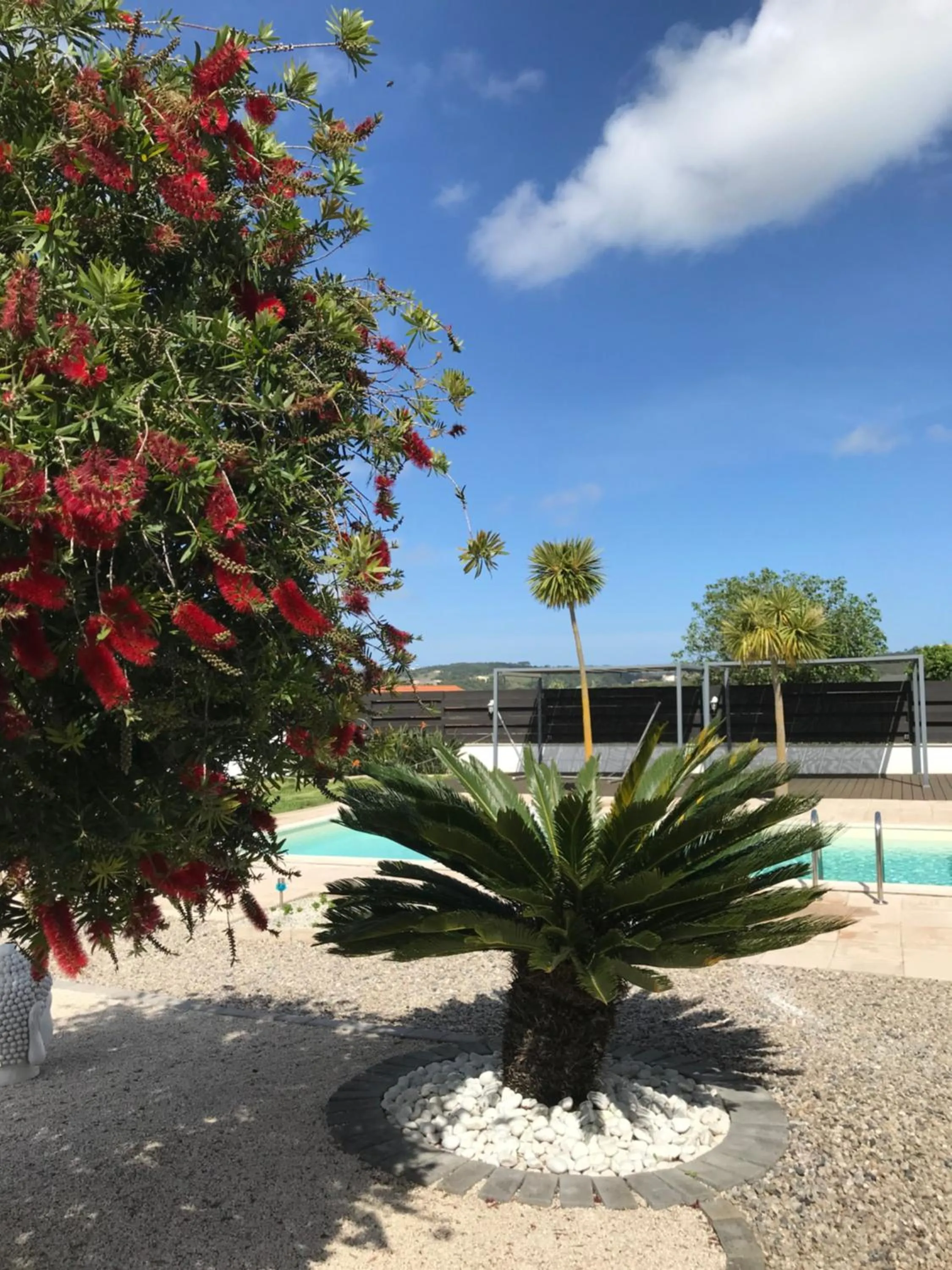 Swimming pool in Casa o Futuro