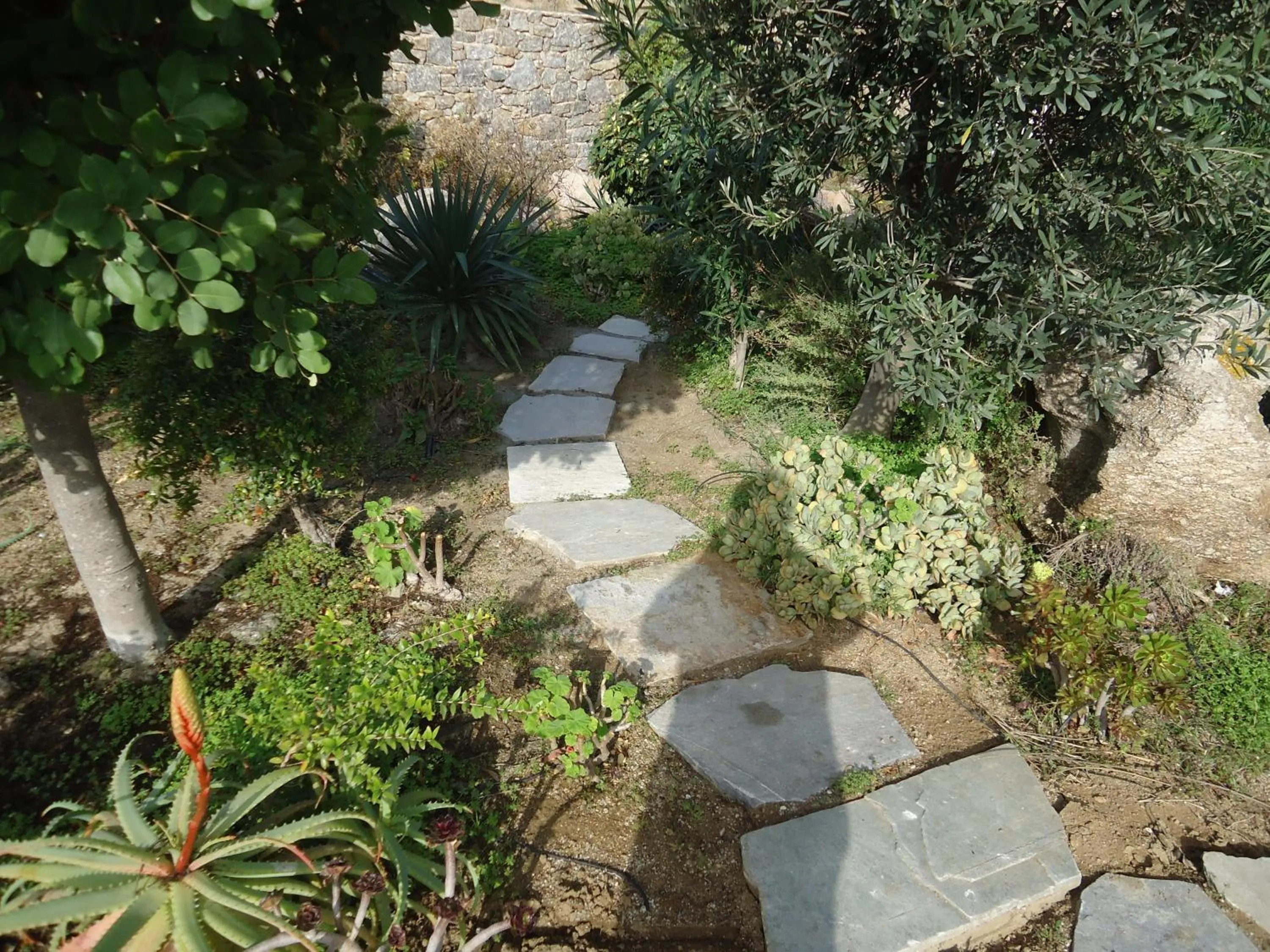 Garden in Nama Villas