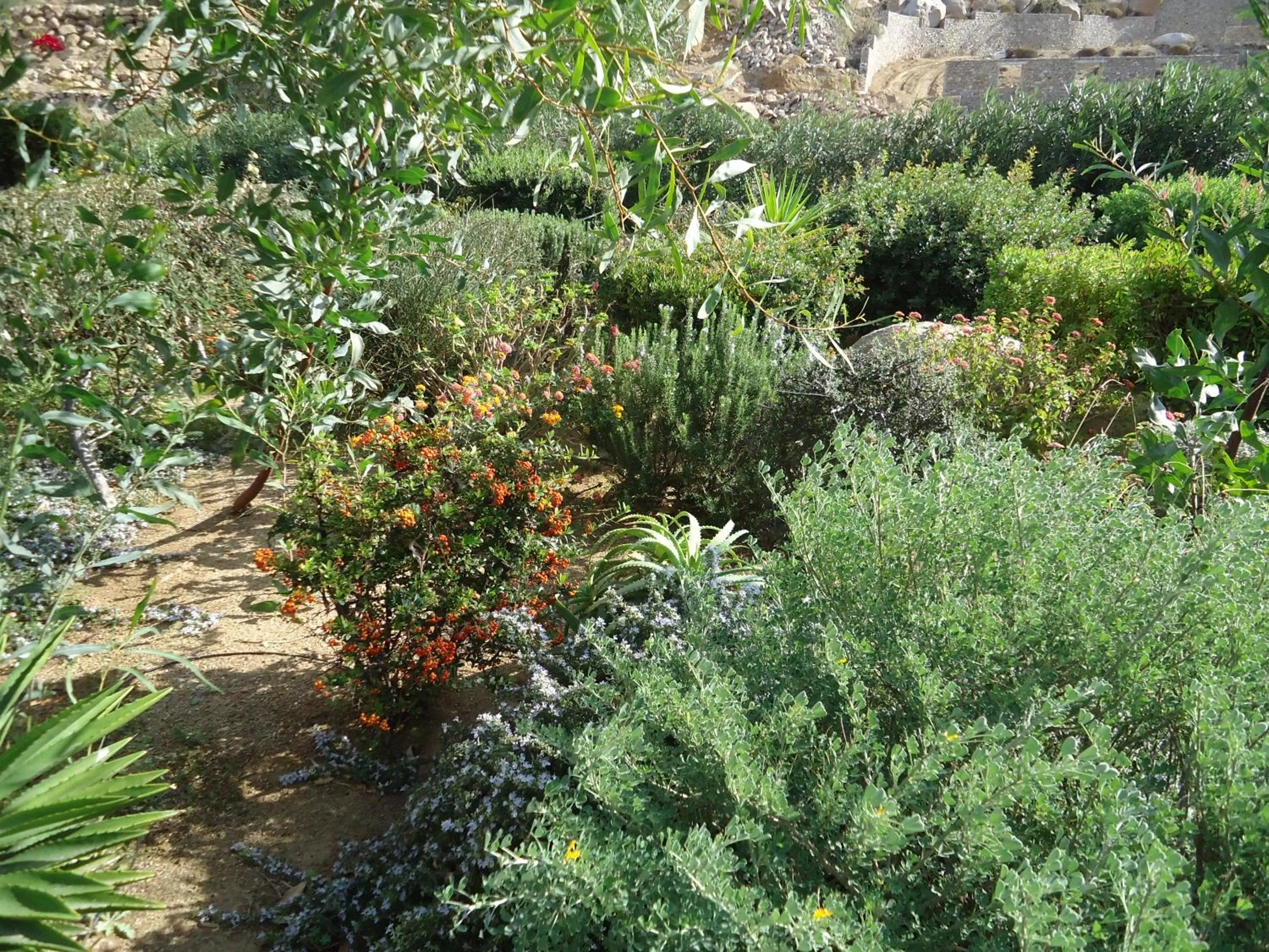 Natural landscape in Nama Villas