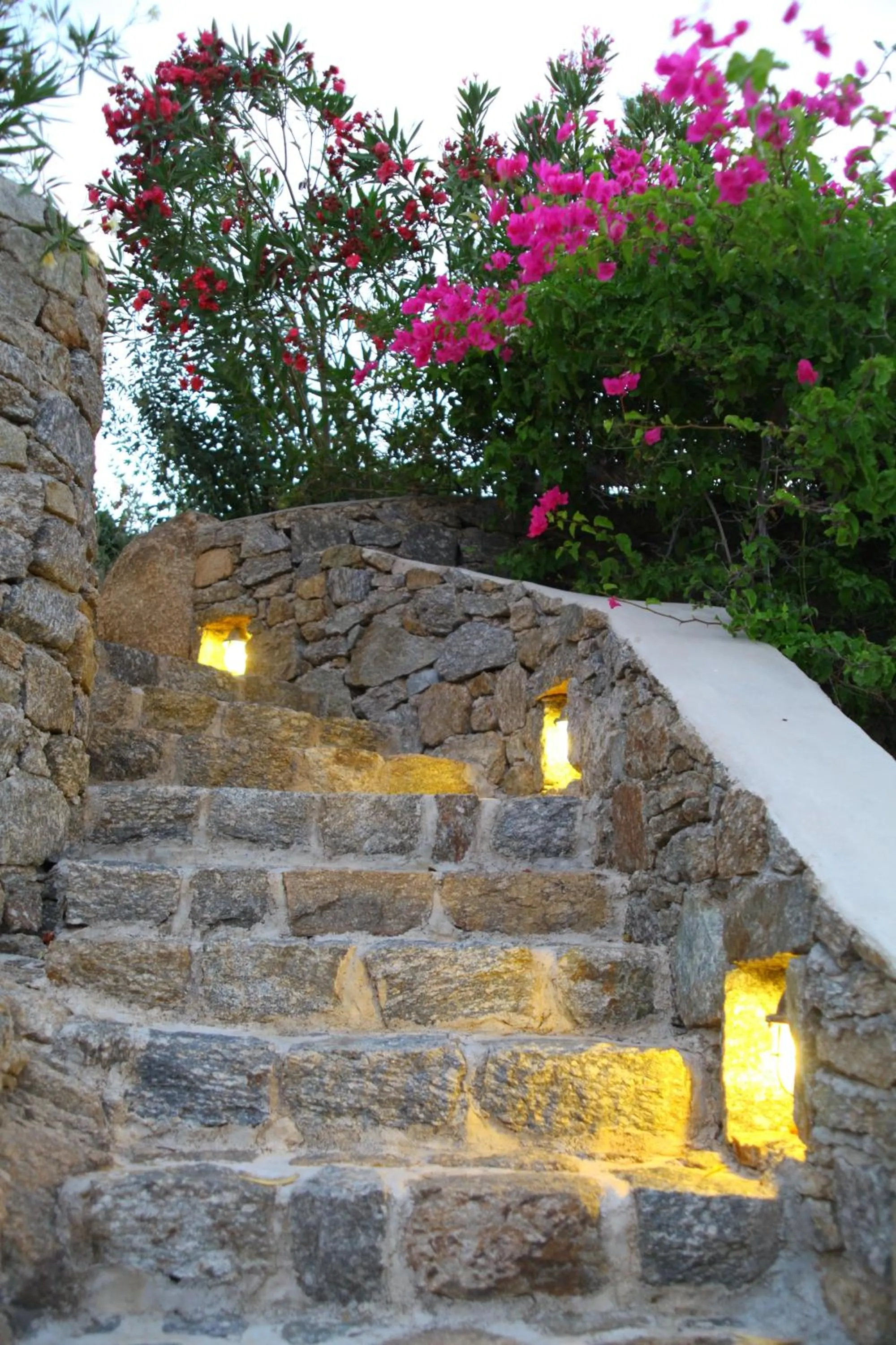 Garden in Nama Villas